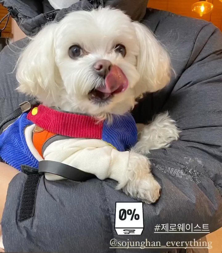 #소중한모든것
제로웨이스트 체험단으오 선정되어 기쁘게 방문한 곳
사실 반려견이 출입가능할까 고민고민하다 동구랑 갔는데
사장님께서 너무 반갑게 맞아주셔서 다행이었다 🥲✨

매장은 반은 카페 반은 상점으로 되어있는데 생각보다 
사고 싶은 것들이 많아서 놀랐다
나의 픽은 동구와 함께 먹을 수있는 고구마칩(g당 70원)
다회용 스텐리스 빨대 그리고 수세미 마지막으로 
맥주병을 리싸이클링한 컵이다 
델몬트 물병도 가지고싶었지만 냉장고에 자리가 없어 ㅠ

게다가 각종 이벤트도 많으니 꼭 한번 들려보기 ♥ 

#제로웨이스트 #인천제로웨이스트샵 #소중한모든것 #수세미 #리싸이클컵 #스테인리스빨대 #애견동반 #인천에견동반