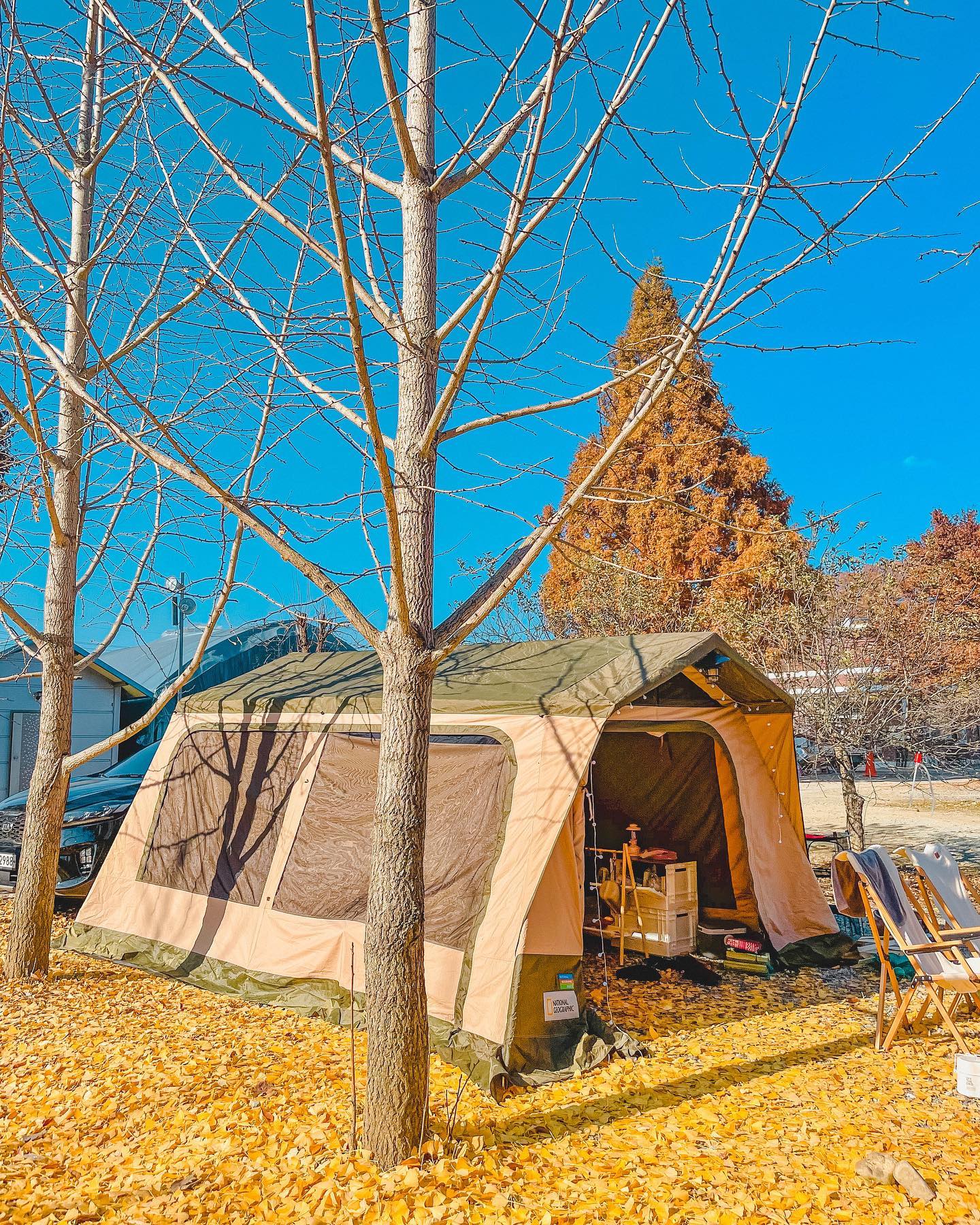 벌써 지난달이라니🍁
갑자기 겨울이 된 날씨에 
그리워지는 가을 끝자락에 넘 좋았던 캠핑🧡

#캠핑#가을캠#단풍캠#자연애캠핑장#괴산#충사모
#앞모습금지