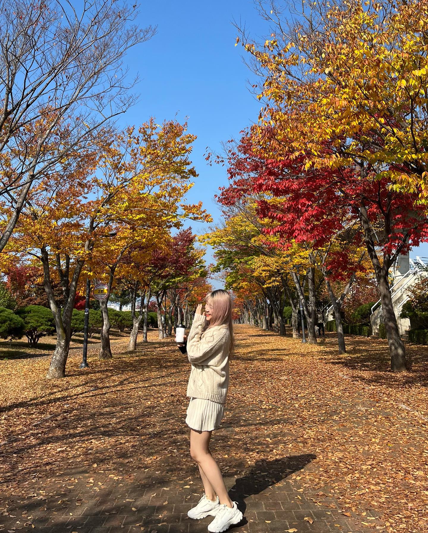 #영이스타그램🐯
나한텐 단풍보다
내 머리색깔이 더 예쁜거보니까
아직 나이들려면 멀었음ㅋ🐸