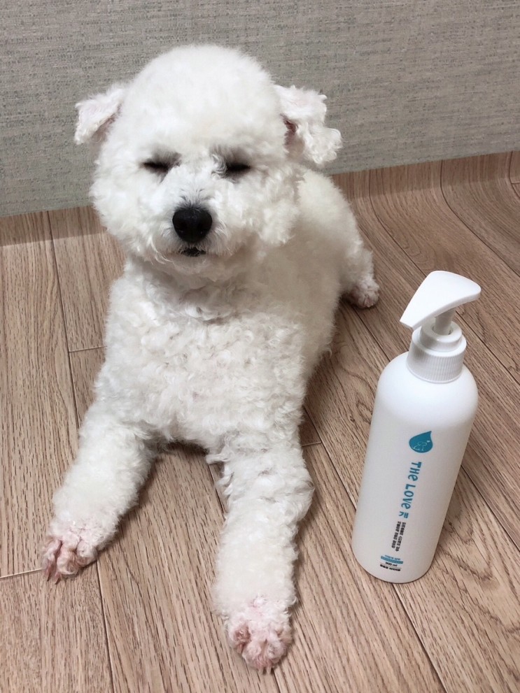 강아지목욕 : 냄새잡는 더럽개 저자극 애견 샴푸