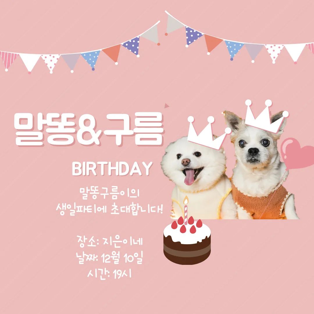 퍼피(말똥이) 2006.11.11
구름 2013.8.23

처음만난날 12.15일에 생파하려했지만 주말인 10일에 하기로 했습니다❤
내생일보다 더 소중한 애기들 만난날!

#dogstagram #댕댕이 #pet #멍스타그램  #멍스타 #멍스타그램🐶 #멍멍이 #멍팔 #도그스타그램 #독스타그램 #강아지 #강아지일상 #강아지그램 #강아지그램🐶 #강아지그램🐾 #강아지그램🐶🐾 #멍멍이그램 #멍멍이 #멍멍 #멍팔 #멍팔맞팔 #멍팔환영 #멍팔해요 #멍팔환영🐾 #멍팔댕팔 #멍팔댓글 #멍팔로우 #맞팔 #맞팔해요 #말똥이랑구름이
