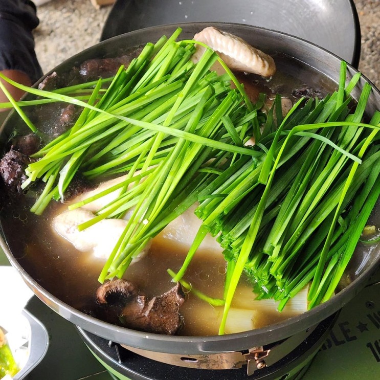 충남 아산 라포레애견캠핑장