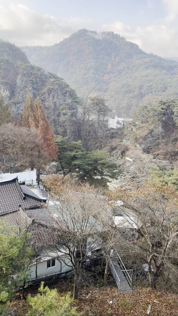 11월6일 제천단풍여행(한발늦음) 배론성지-비룡담저수지-의림지