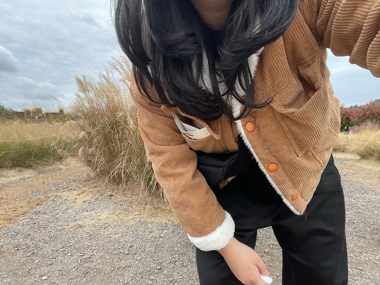 콘텐츠