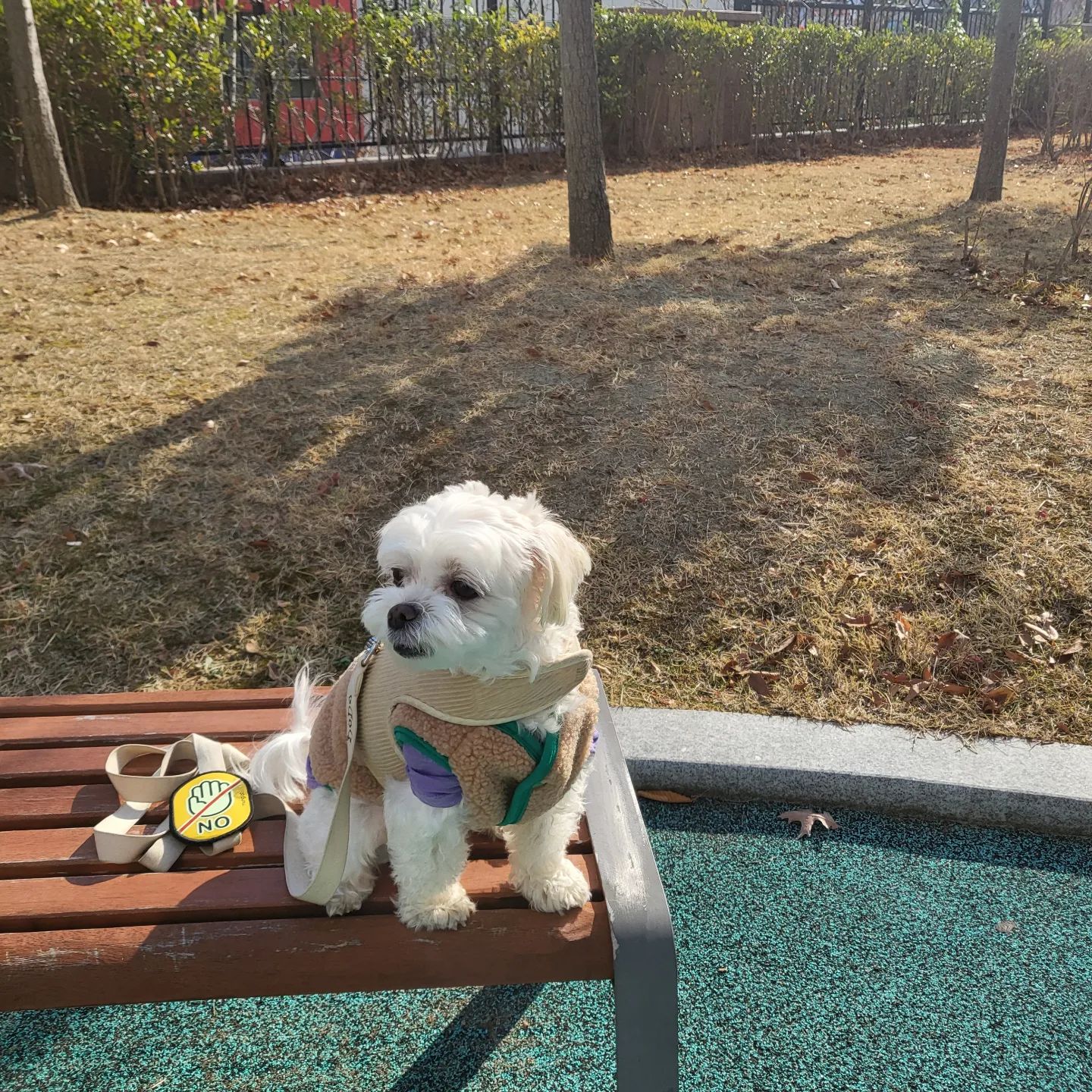 #협찬
🐾릴리프 머드 샴푸 포 도그스
.
반려인이라면 믿고보는 유튜브 채널 강형욱의 보듬TV에서 소개되서 알게된 릴리프 머드 샴푸🌹
.
📌우수성이 입증된 국내산 보령머드가 100,000PPM(10%) 함유
📌후각이 예민한 아이들을 위해 인공향료 무첨가
📌화학제 계면활성제 등 20가지 주의성분을 배제
📌자연 유래 96.24%의 순한 성분과 특허 받은 11가지 자연 성분 함유
📌샴푸와 머드팩을 동시에 가능한 2in1 강아지 보령머드팩 샴푸😶‍🌫️
.
지금까지 내가 사용해본 스파 제품들은 사용후 털이 뻣뻣 해지거나
냄새가 잘 잡히지않아 1차로 씻긴후 스파를 했는데 
인공향료를 전혀 첨가하지 않았는데도 불구하고
강아지냄새도 잘잡히고 털도 부들부들 해져서 완전만족!
특히나 한번 미용하고 오면 스트레스 받을 예민한 아이들은 
집에서 편하게 홈케어 할수 있으니깐 더 좋은듯 !!!!💛
.
👉https://bit.ly/3zV38oM
brmud_official
.
#BRMUD #비알머드 #보령머드 #보령머드팩 #멍빨샴푸 #강아지샴푸
#강아지샴푸추천 #애견샴푸 #강아지목욕 #강아지머드팩 #머드팩 #강아지목욕맛집 #강아지일상 #강아지셀프목욕 #강아지발사탕 
#dogshampoo #dogCommunity #fluffydogs #강형욱샴푸