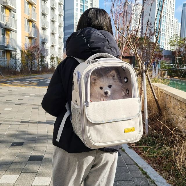 찐빵🐶 우리집공주👸 on Instagram: "#협찬 사시사철 아가들 들쳐업고다니는 우리 견주분들🤣 어깨 건강은 괜찮으신가요🙄⁉️ 고작 3.5kg인 찐빵이도 10분정도만 안고있으면 어깨가 아작나