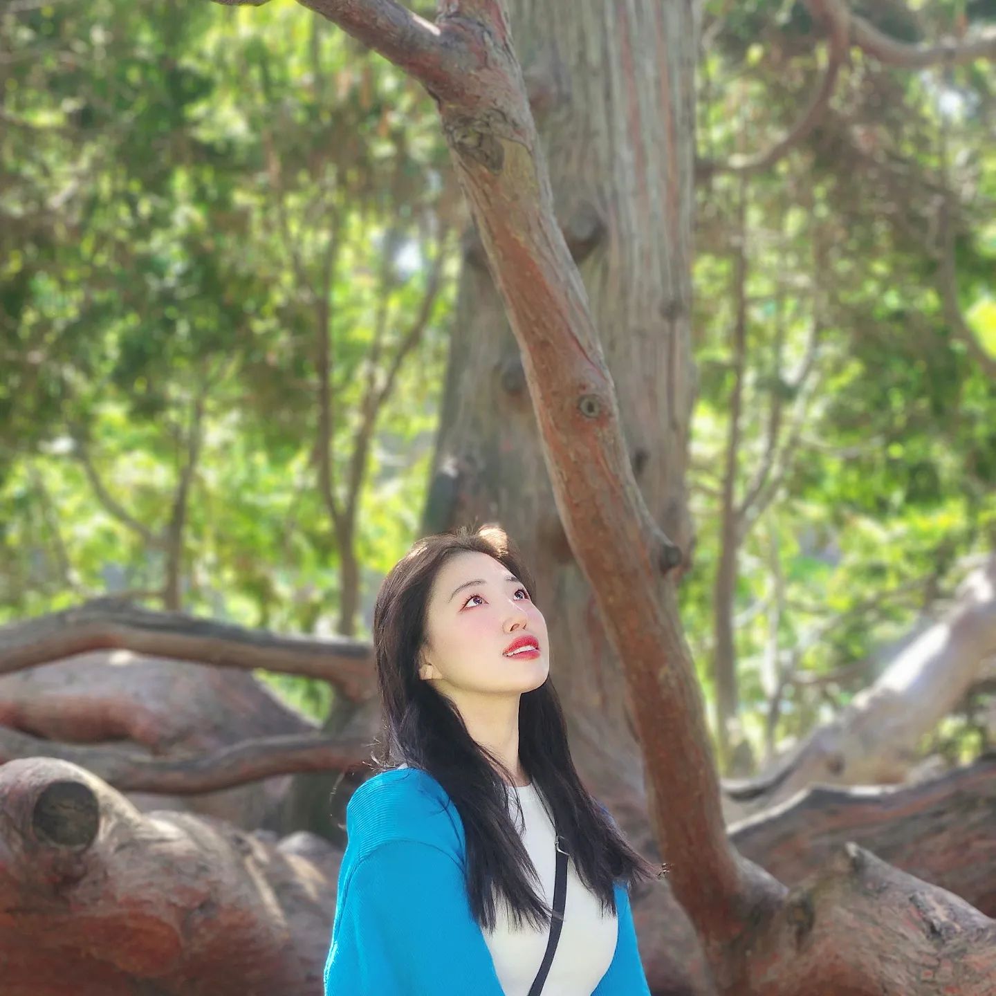 💚💚
.
.
.
.
.
.
#뉴질랜드 #뉴질랜드워홀 #뉴질랜드여행 #크라이스트처치 #워킹홀리데이 #워홀 #여행 #해외여행 #보타닉가든 #newzealand #workingholiday #christchurch #botanicgarden #💚