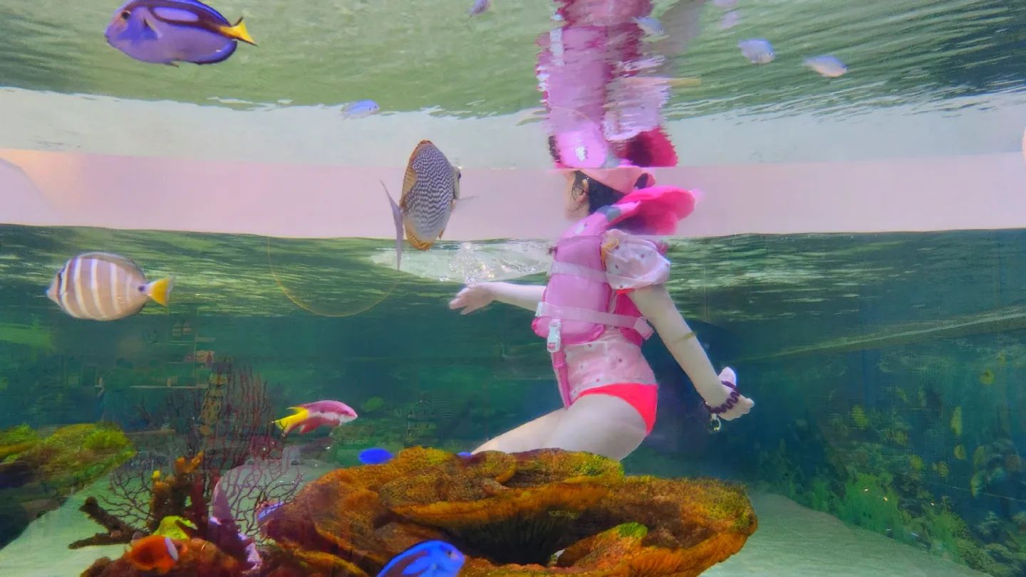 🐟 🐠 🐡
.
.
얼마전에 다녀왔던 안성 스타필드.....!
(얼마전이 벌써 2주전...)
.
가격에 비해 놀건 많이 없었지만...ㅋㅋㅋㅋㅋㅋㅋ
그래도 평일이라 한산하게 즐기다 왔어용💙
.
.
아무래도 수영장 규모가 크지 않아서
3세~6세까지는 재밌게 놀다올 수 있을것 같네요👍
.
.
그래도 샤워실에 아이들 비누,로션도 따로 있어서 뭐 안챙겨가도 되고 드라이기도 좋더라구용(?)
.
.
다음엔 좀 더 큰곳으로 가즈아🌊🌊🌊
.
.
.
#안성스타필드 #안성아쿠아필드