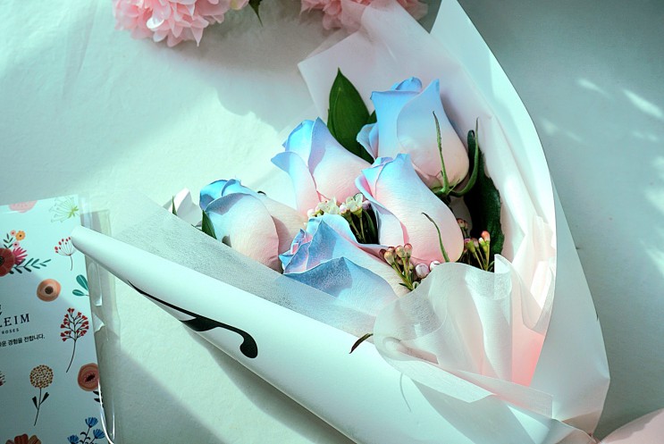 프로포즈 꽃다발 여자친구생일 생화꽃다발 설레임플라워 에서 당일배송 로즈블리 받았어요