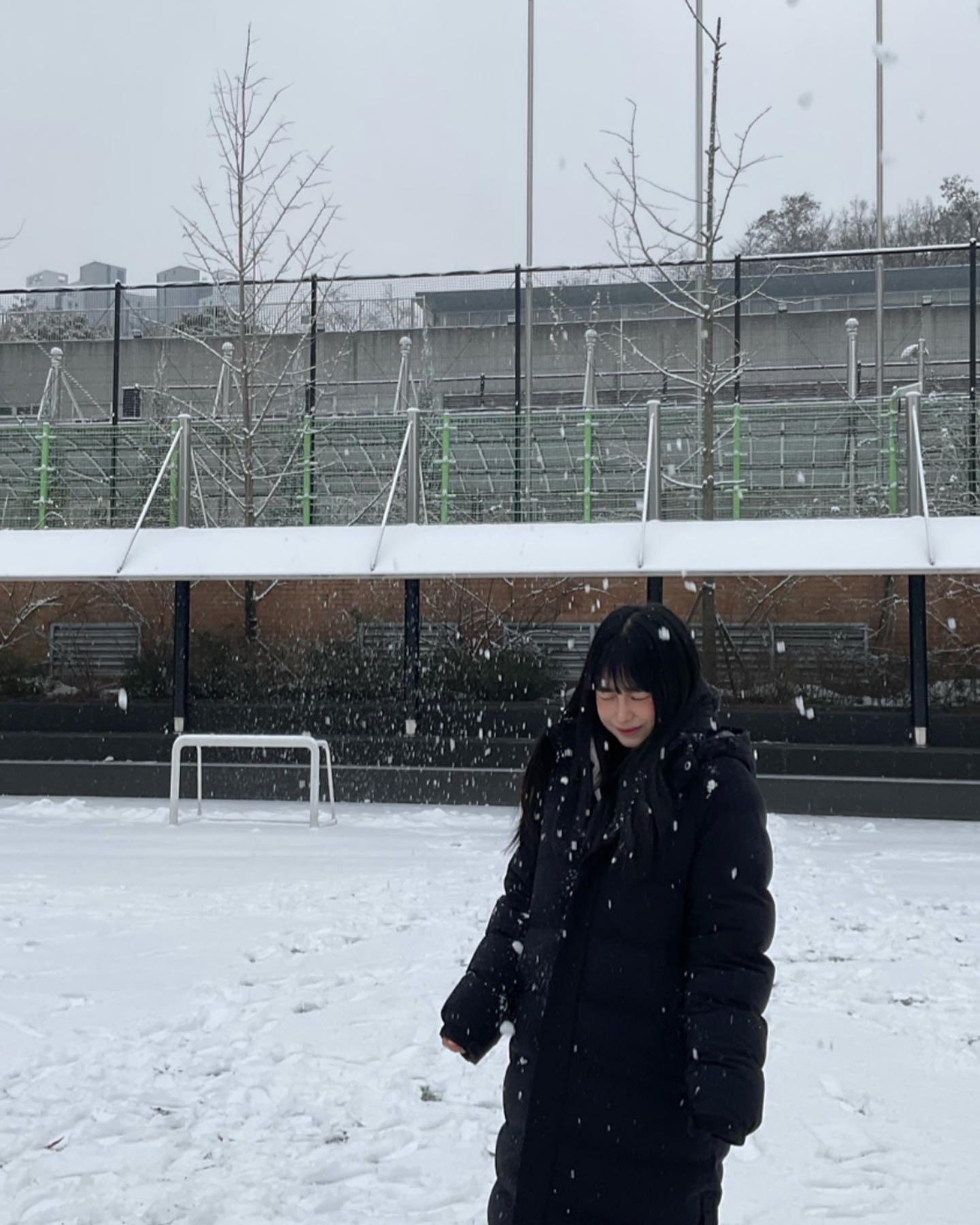 ❄️