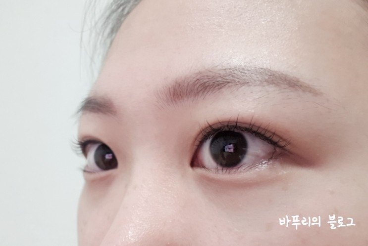 옥정동 속눈썹 펌 제이래쉬 솔직 후기