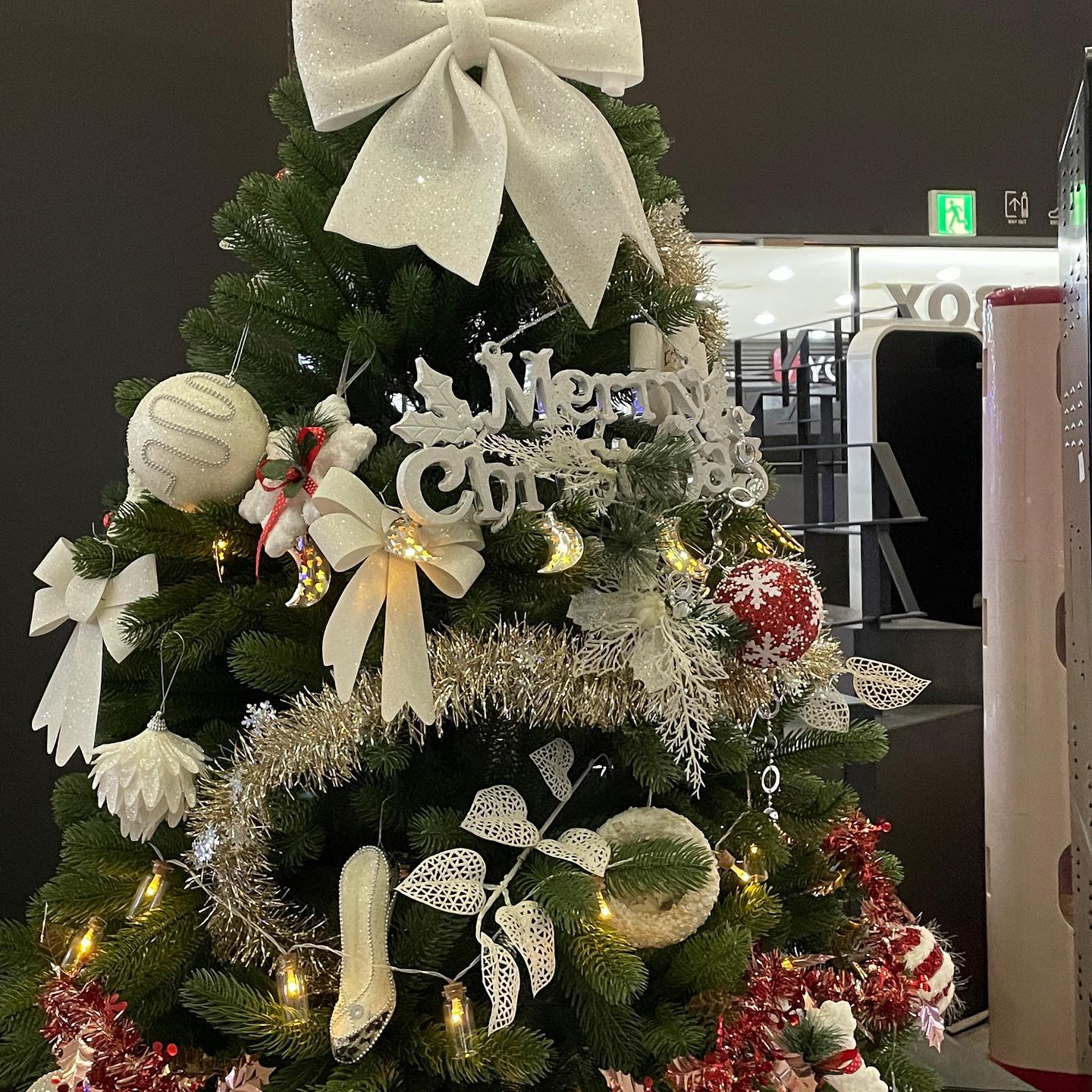 🎄☃️ 12.25