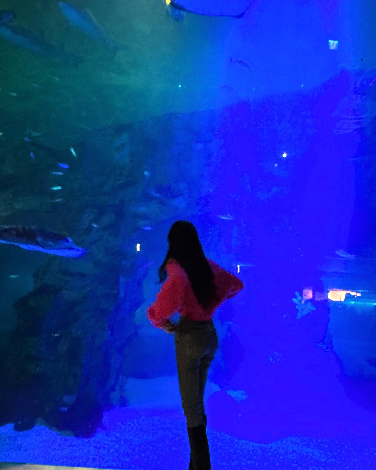 첨𓆜𓆝𓆞𓆟벙