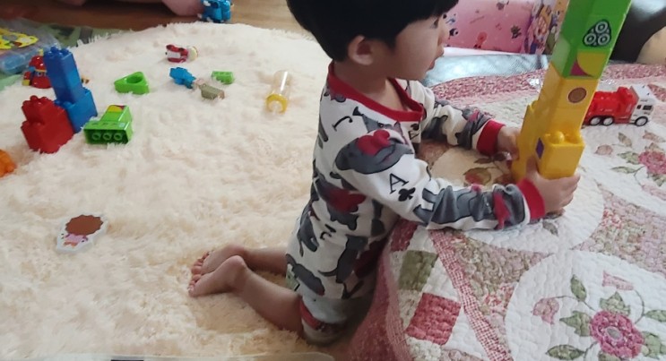 미니러그 부드러워 아들도 댕댕이들도 좋아하는 포근한 매트 추천