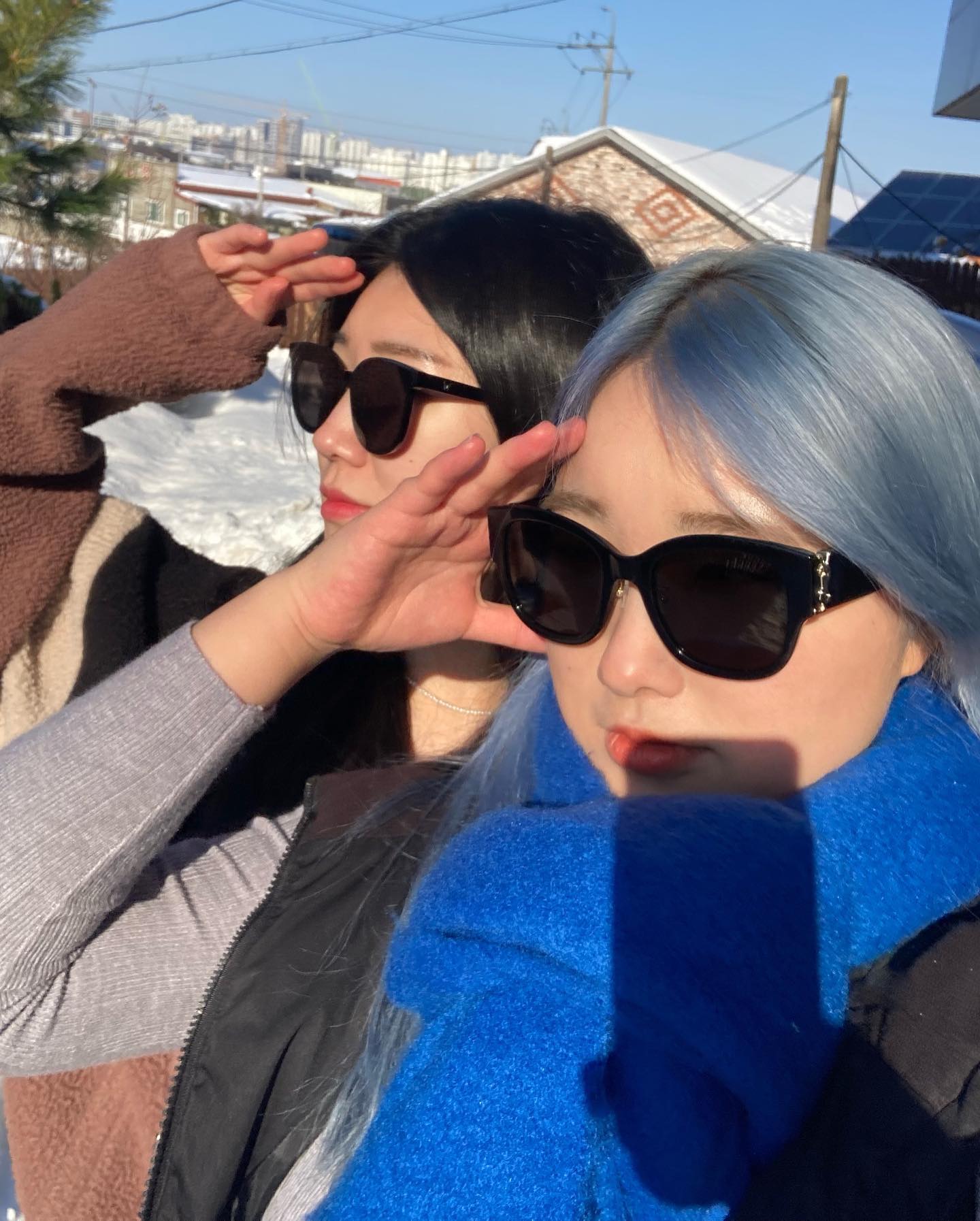 이글루 지을 땅 좀 보러 왔는데요 아직 크리스마스 할인 되죠?