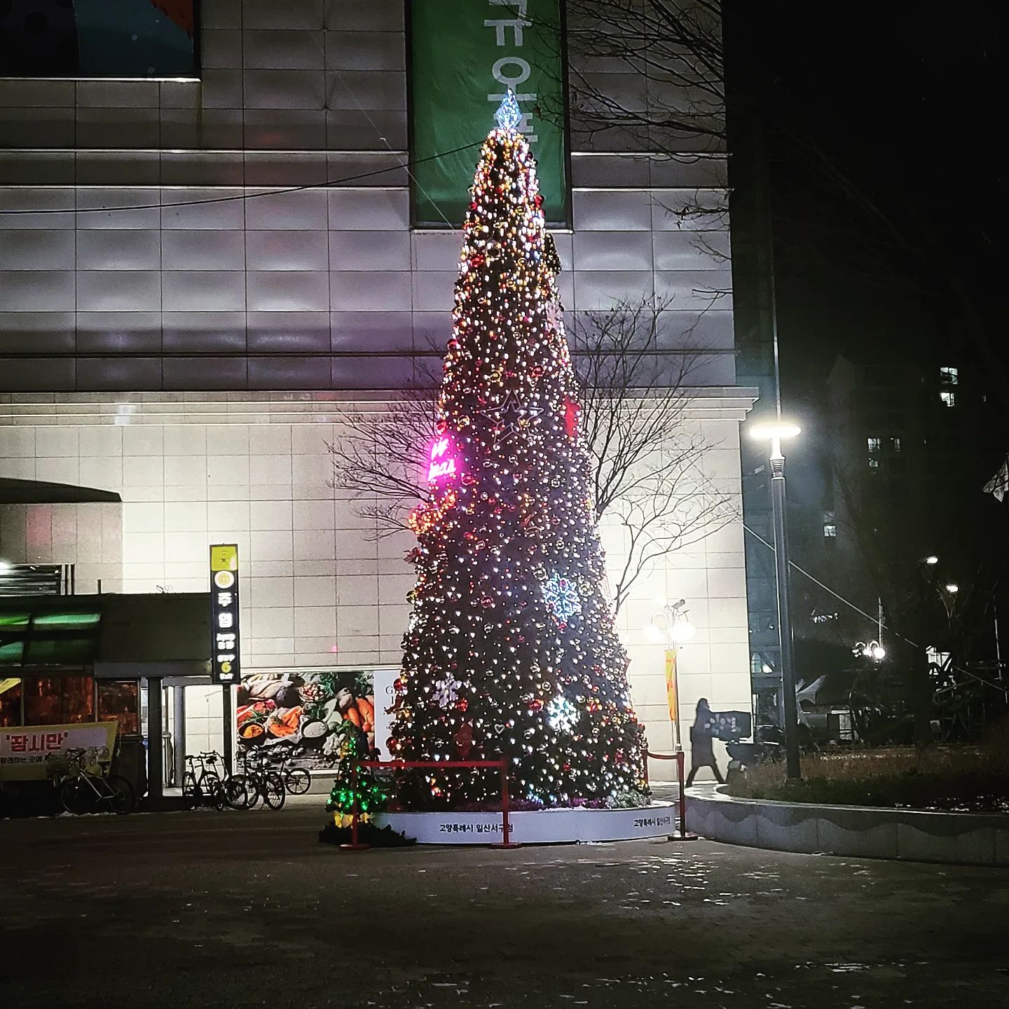 2022.12_🎄