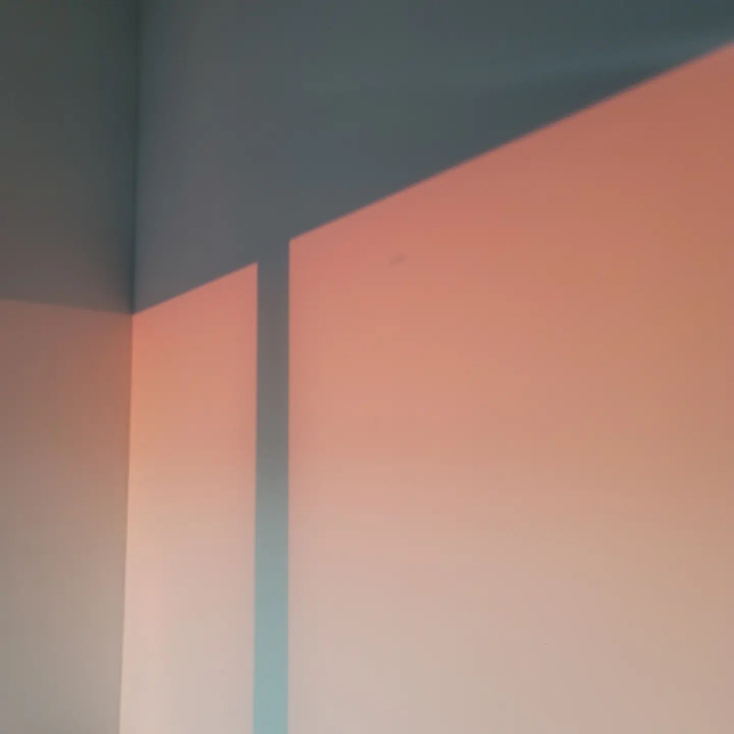 오늘 빛이 뭔가 좋은뎅?