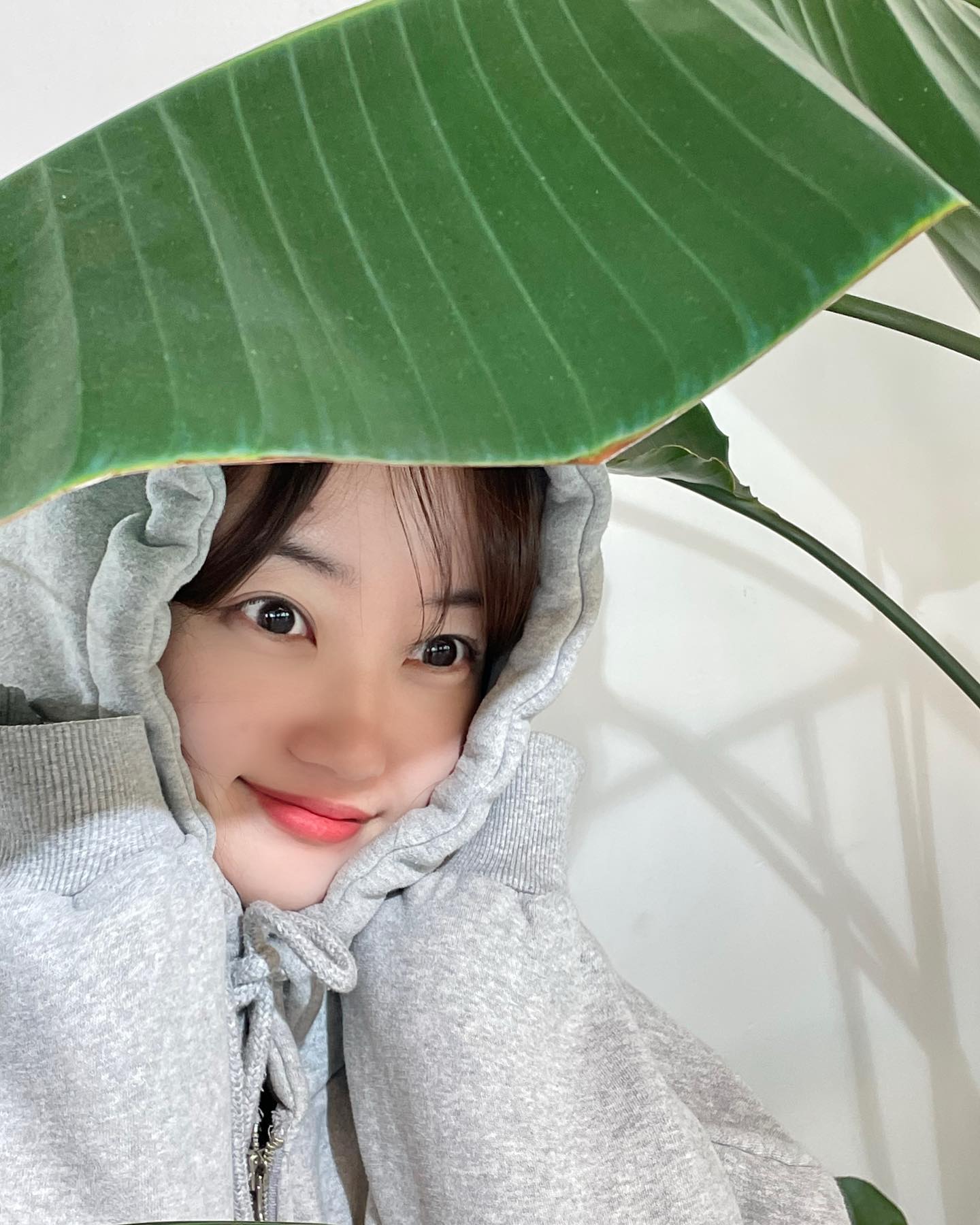 편안-🍃