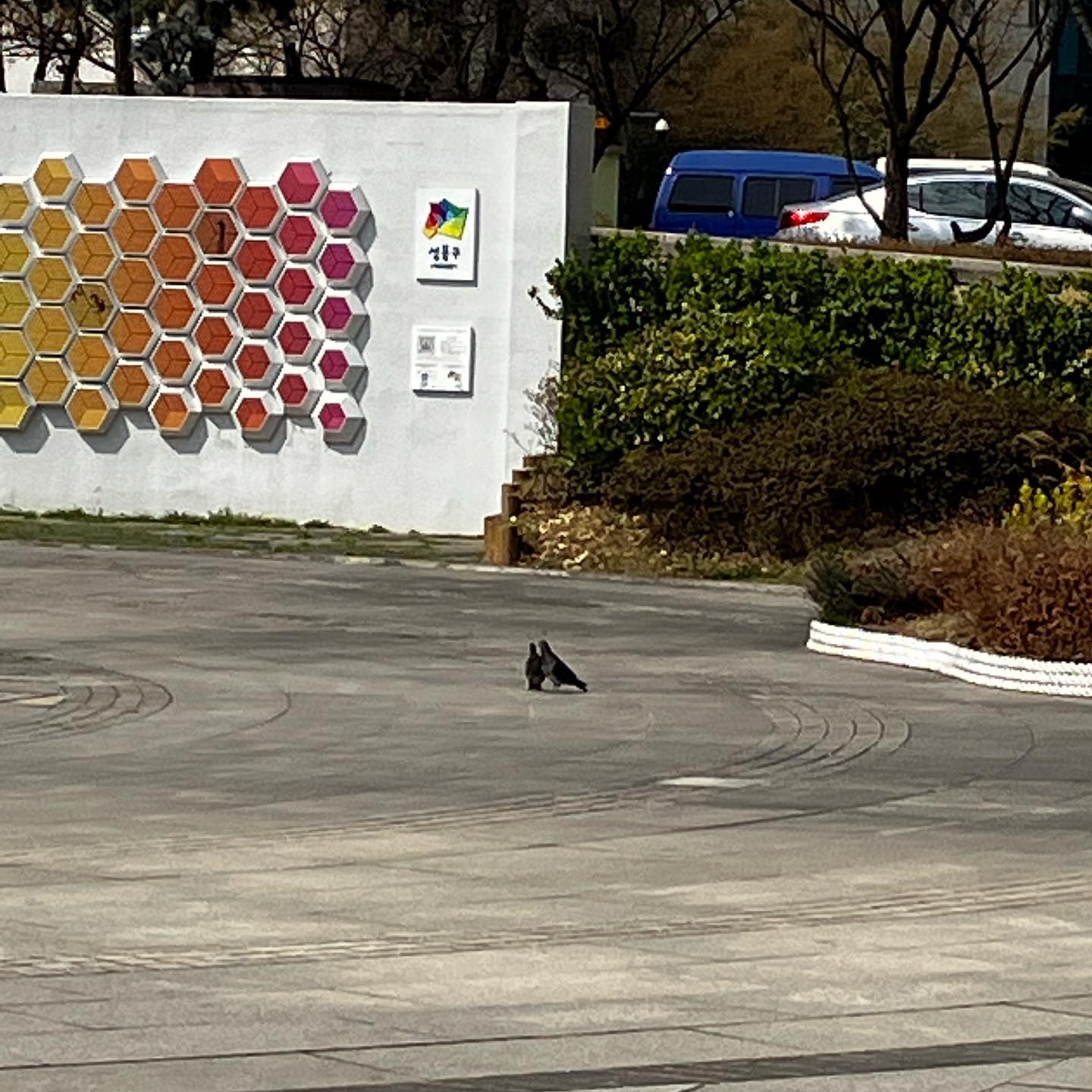 "올해의 베스트 컷“
