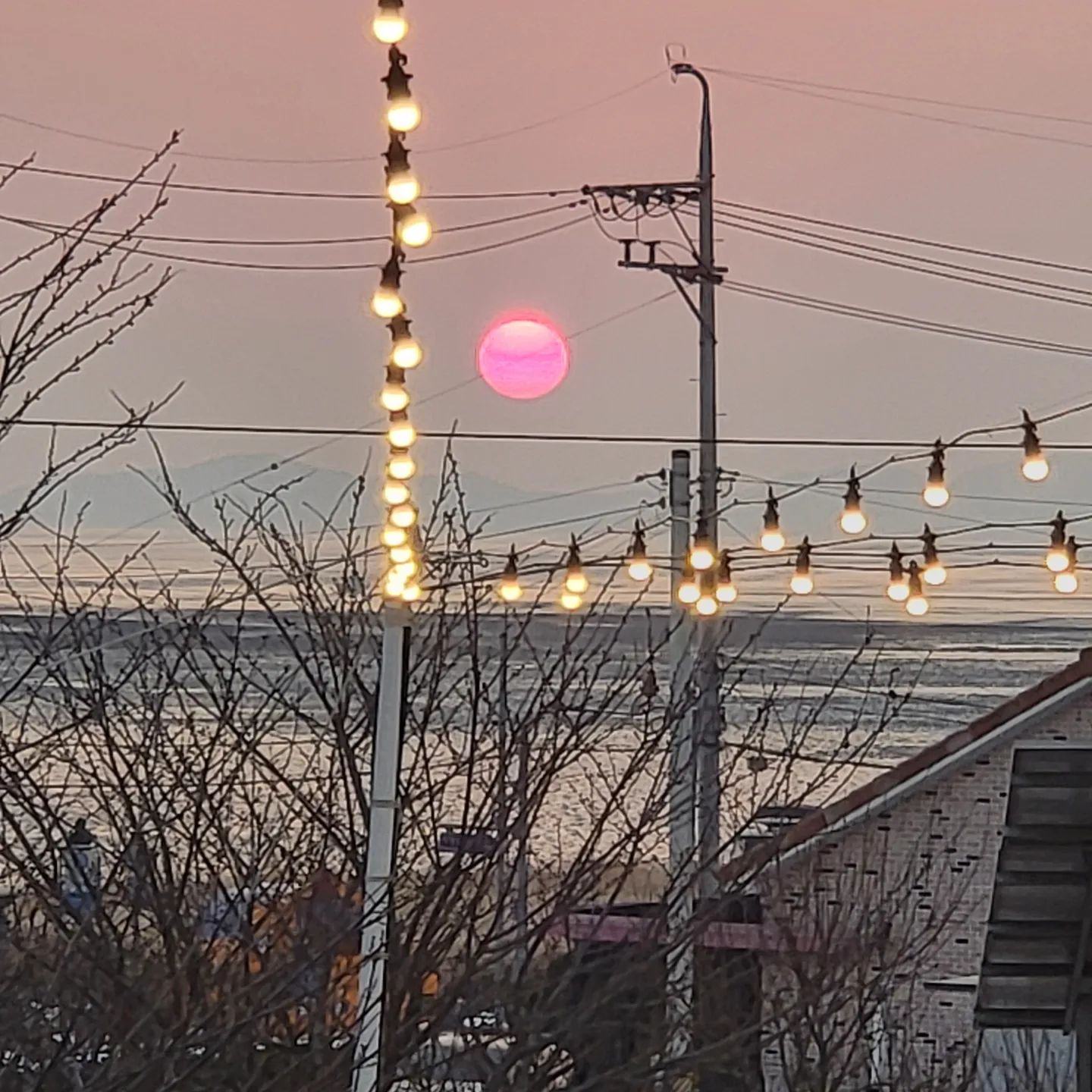 콘텐츠