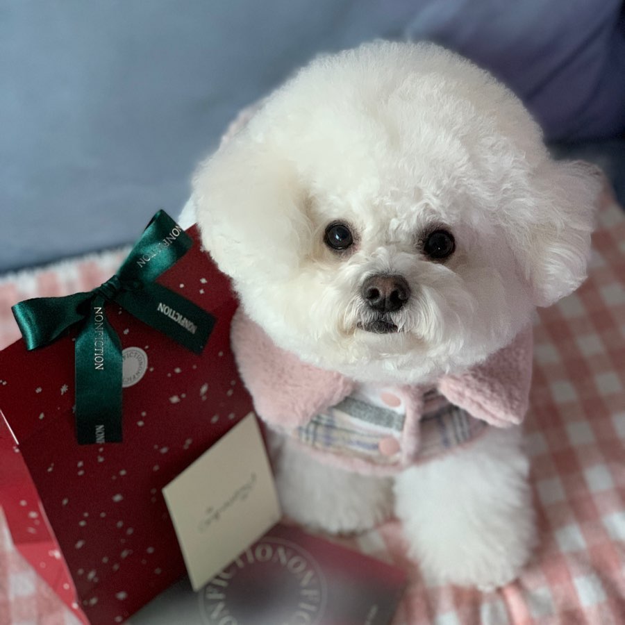 .
찡구들아 2022년 알차게 보냈니이😍
2023년에는 맛있는 간식 더 많이 먹구
건강길만 걷자아💛
찌즈는 내년에 치즈동생이 태어나서
엄청 기대하구 있다구우..!! 🥹
찡구들 모두 새해복 많이 받자아💓

#bichon #bichonfrise #happynewyear #2023 #hello2023 #루앤담 #강아지모델 #비숑 #비숑프리제