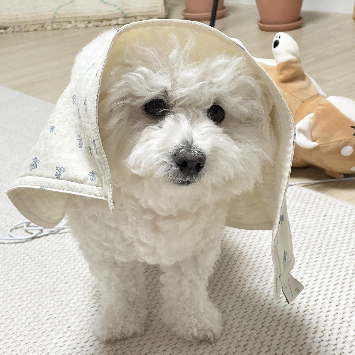 새롭게 시작한 곳에서 소중한 사람과 달래와 따뜻하고 배부르게 행복했던 ☃️2022☃️ 23년은 꼭 원하는 바를 이뤄내길🪄새해 복 많이 받으세요🫶🏻🫶🏻🫶🏻
