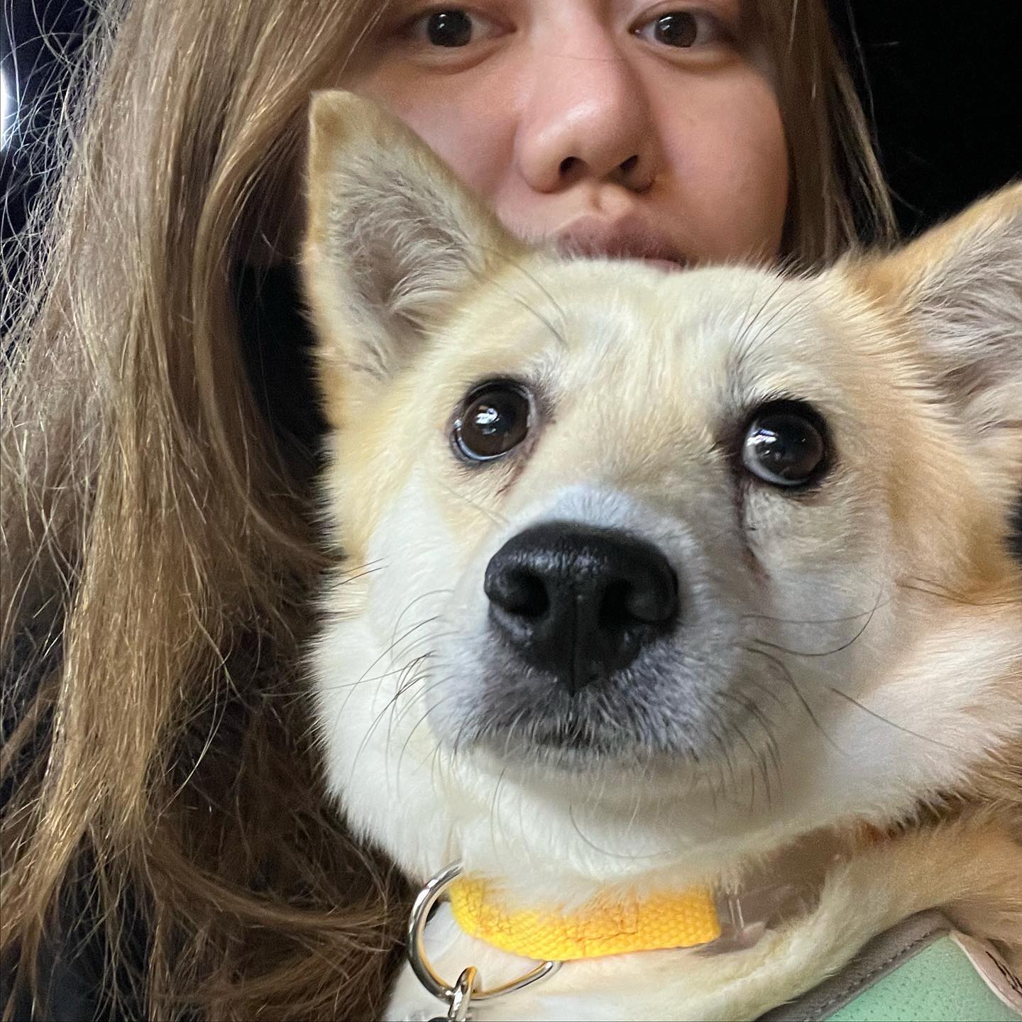 22년도 나의 강아지와 고양이

나는 솔직히 이번년도엔 생명을 제대로 지키진 못한 것 같아서 내년에는 내 선에서는 좀 더 잘해봐야겠다. 좀 더 많은 생명체(인간 포함) 그래도 태어난 김에 먹고 싶을 때 먹고 더울 때 시원한 곳에 있고, 추울 때 따뜻한 곳에서 지내는 삶을 살게 도와줄 수 있는 법을 생각해봐야지