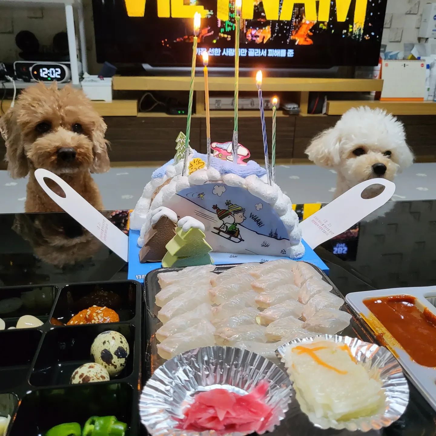 2023년 우리 가족 모두 행복하자! ♥️💙💜 사랑합니다.

내가 아는 모든 사람들 앞으로 좋은일만 생기고 건강하길 기도합니다.👍🏻