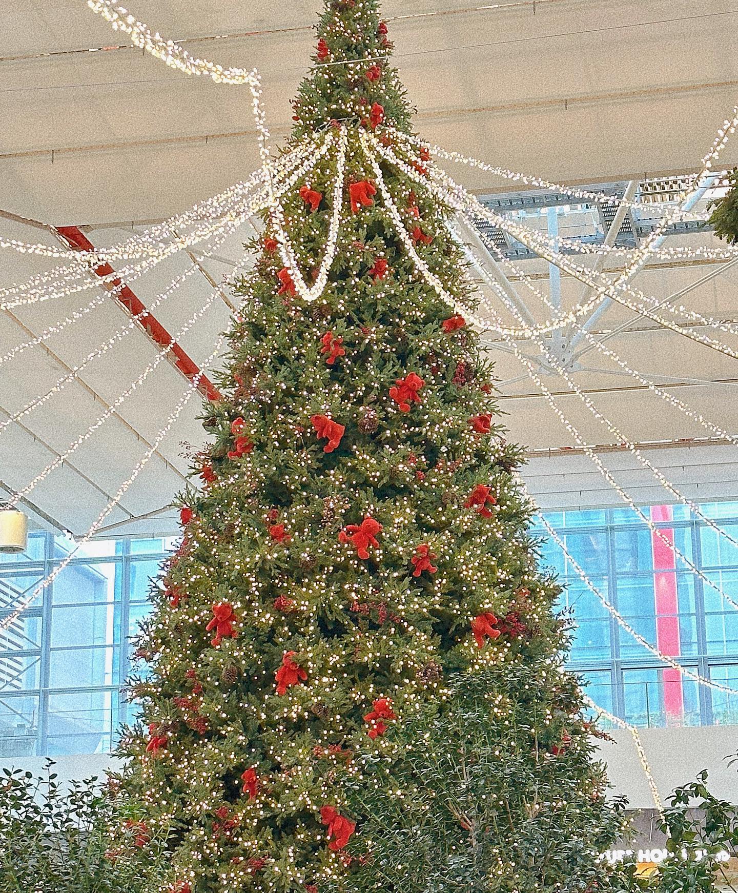 #첫줄 
햅삐🎄