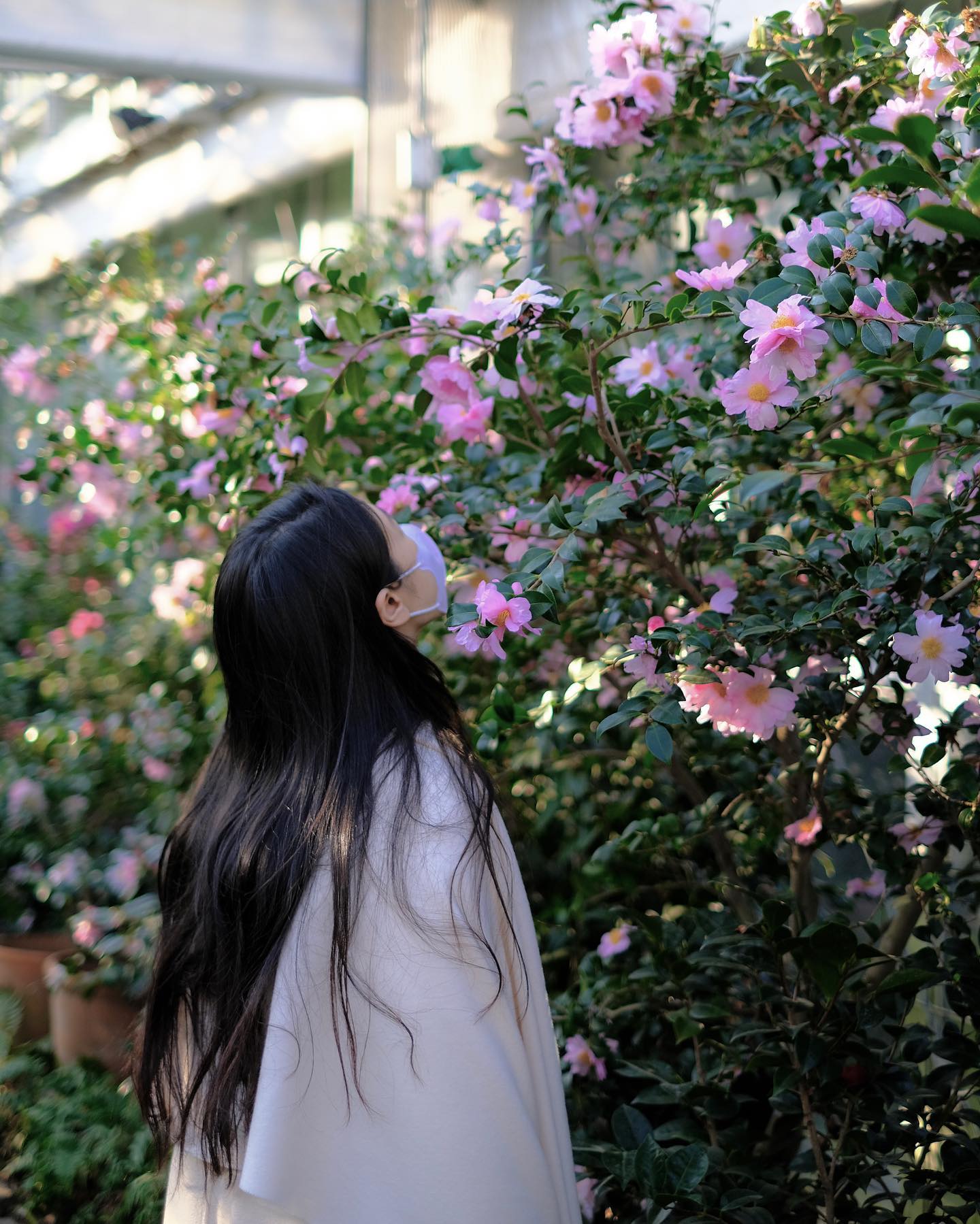 사진장인📷

#카멜리아힐
#동백없음
#ㅂㄷㅂㄷ
#이게다야