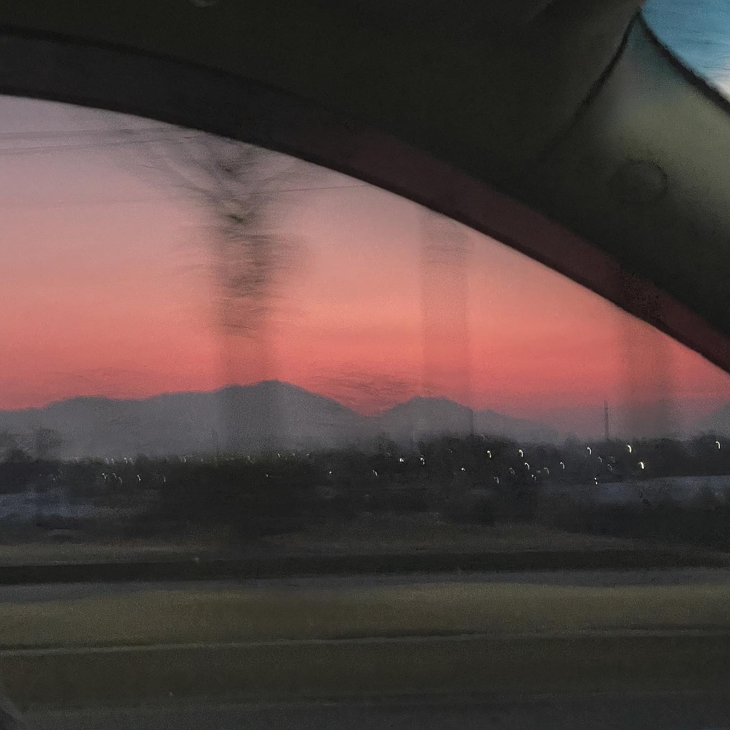 요즘 부지런해져서 볼 수 있는 풍경
