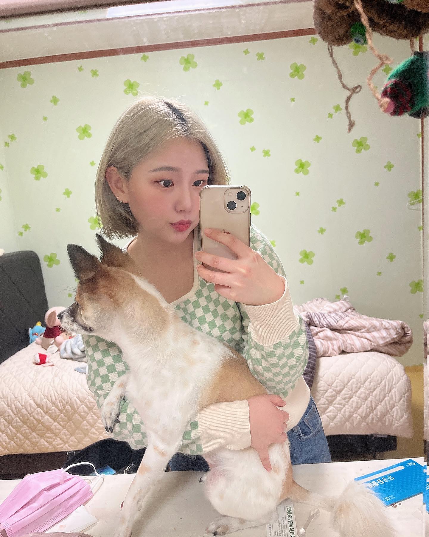 우리집 막냉이는 카메라를 안봐줘