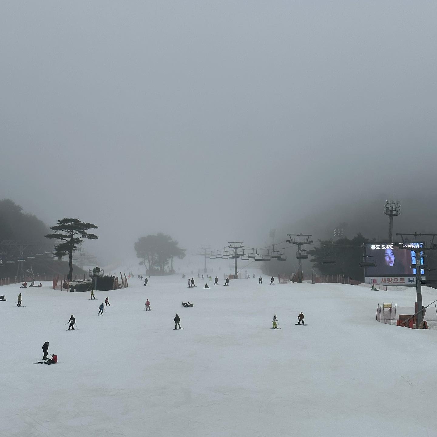 첫 보드🏂
온 몸이 아프지만 열심히 배워야지🌝🌝