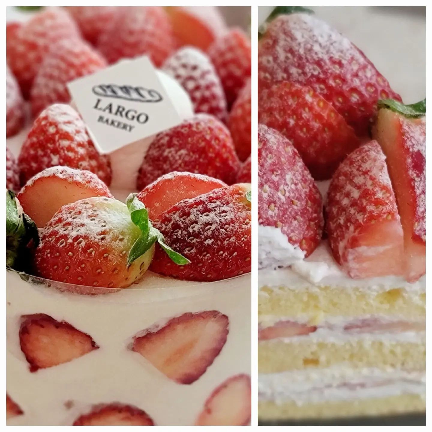 케키
참
맛나
자꾸 생각나

#라르고베이커리