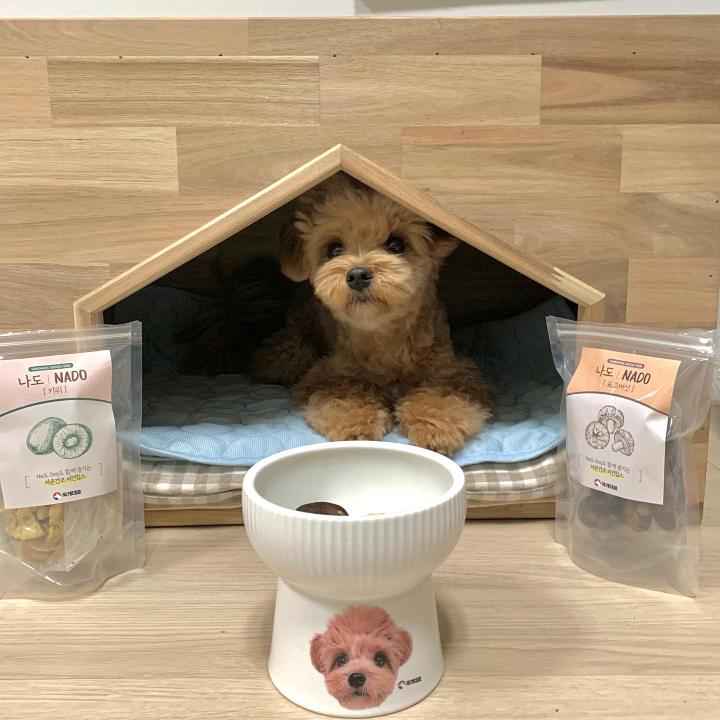#제품제공

믿.먹. 
국개대표에서 나도/NADO 비건 칩스를 출시했대😋

“NA”도 먹고 “DOG” 도 먹는
저온 건조 *비건* 칩스 [나도/NADO]

그래서 엄마가 먹는 영상도 있찌렁😎
볼륨 끌어올려~~~~!!!~!!~!!!!

✔️비건!!! 요즘 대세는 비건!!!
✔️육류 알러지? No 상관~ JMT 비건 간식
✔️맛은 ⬆️ 영양소 보존! 저온 건조 공법👩‍🍳
✔️프락토 올리고당 첨가!
 소화 흡수율 끌어올려~~~~!!~~!!!

룽지는 5色 컬러푸드 중

🥝키위🥝 GREEN

- “저혈당 대표 주자”
- 황금변, 맛동산 내게 맡겨
- 간세포 재생, 소화작용 👍

🍄표고버섯🍄 WHITE

- “생명의 비약”
- 면역력 사냥꾼은 바로 나!
- 혈압 조절, 뼈 튼튼! 🦴

엄마랑(NA) 나(DOG)의 원픽은!!!!

키위 만장일치💗💗💗
표고버섯도 고소하고 너무 맛있쏘요😋

키위 먹을 때 빨리 먹고 싶어서 그만 
표면 보여주는 걸 잊은 거 이찌,, ㅋㅋㅋㅋ

(🍻안주로 최고)
건강하게 먹어요 우리🤍😋

#국개대표#저온건조간식#야채간식#과일간식#비건#비건간식#나도#nado#강아지비건간식#jmt