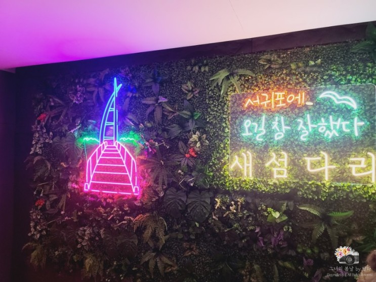 올레시장 술집 제주호텔 새섬다리 feat. 치킨 엔 맥주