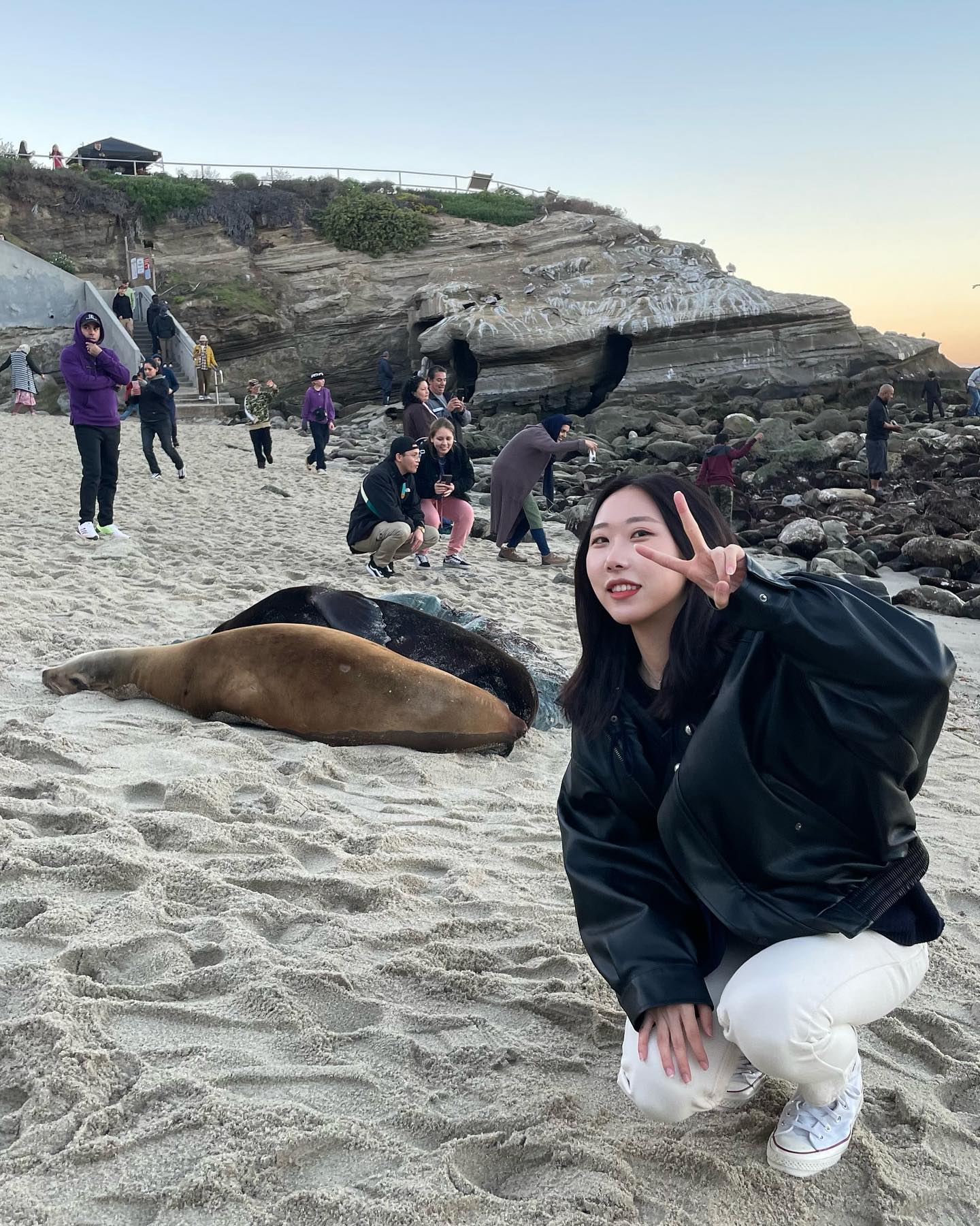 🦭🌊