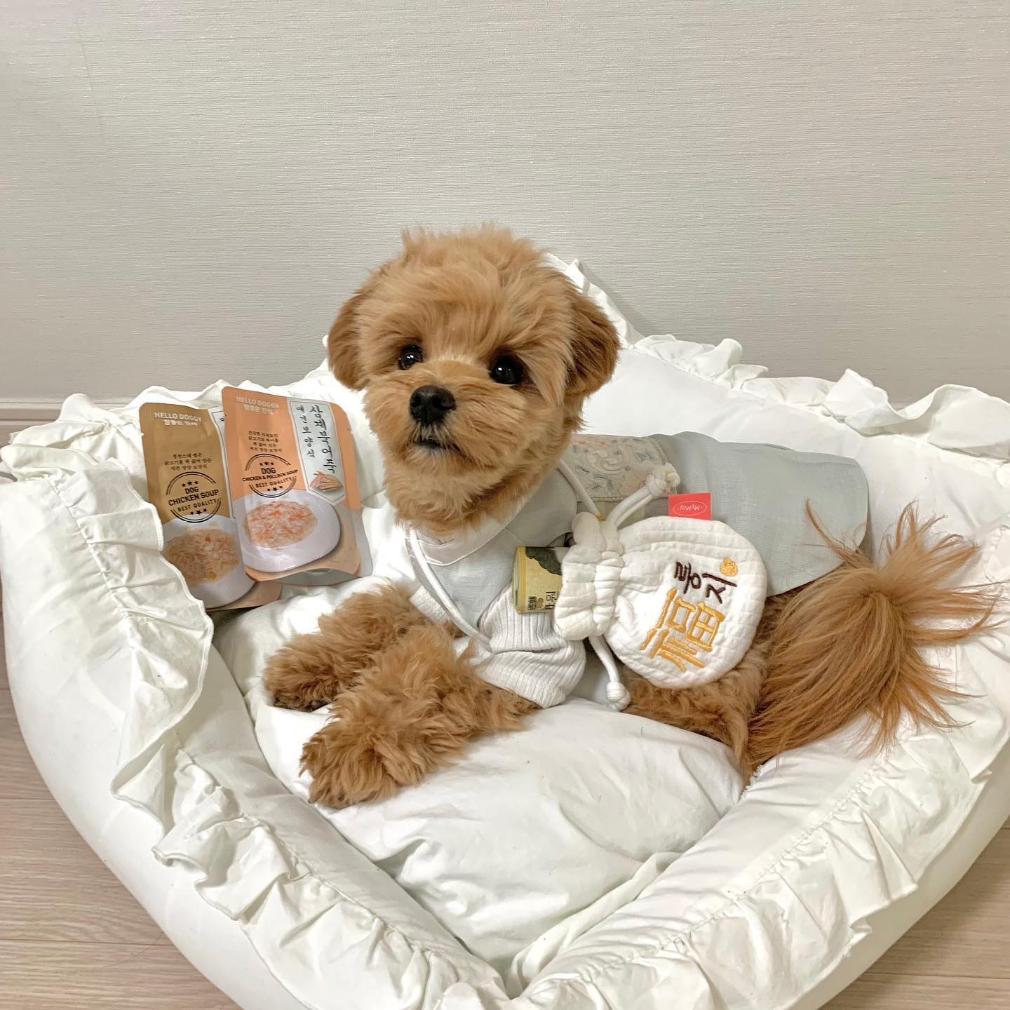 🕊🌞🐡 마니 받으세요🤍

이번 연휴에 할무니 집 못 가서
계좌이체로 용돈 받았따💰

저 돈은 울 집 휴먼 주머니에서 털어온 것~ㅋ

용돈 받은 걸로 소고기 사묵자 휴먼아~
내꺼 안 사주면 배추들 다 뜯어버릴겨⚔️

오늘 특식은 삼계죽이다🤤
다들 다이어트는 낼부터 하는거 마찌?

절거운 설 연휴 보내 칭구드라~