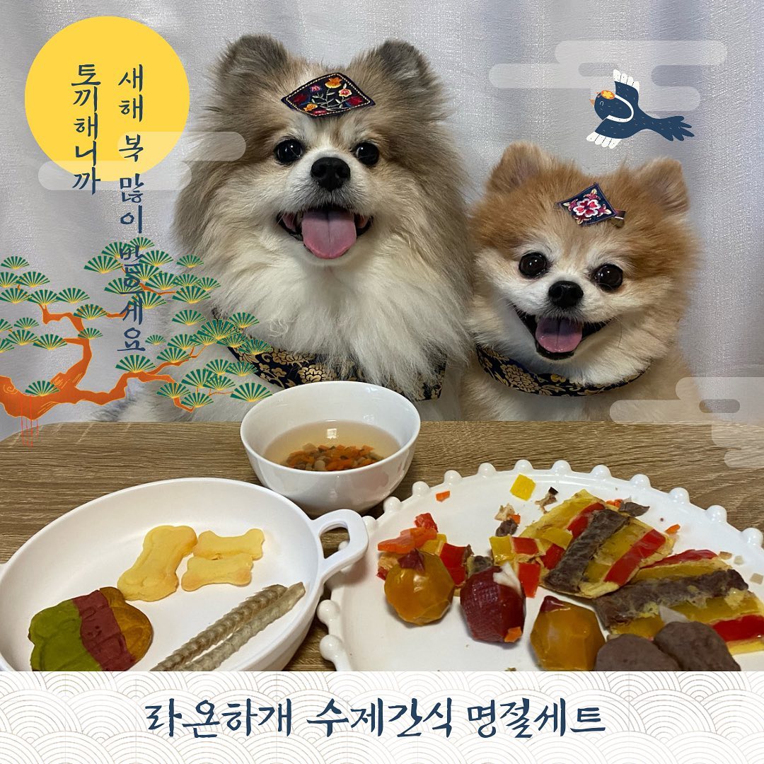 2023 계묘년 새해 복 많이 받으세요~❤️
.
.
#명절음식 #강아지수제간식 #라온하개 #함께하개 #강아지명절음식 #강아지먹방 #강아지케잌 #강아지생일선물