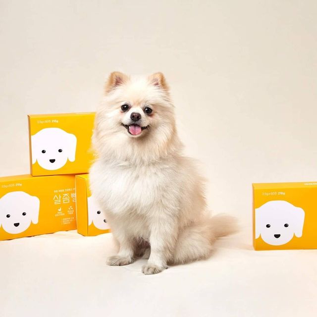 유 호진 on Instagram: "오늘은 사사견견 제조사에서 제조하는

간식처럼 먹는 칼로리 컷팅제 살좀뺄개 소개할게요

사람이나 강아지나 비만은 질병에 원인이 되고

특히나 반려견 과체중은 수명 단축에 원인

그동안 강아지 체중 관리하려면 식단 조절하고

운동량 늘리고 반려견을 다이어트 시키는데

보호자가 더 힘들면 누가 다이어트하는 건가요? 🤭

살좀뺄개는식단 조절을 하지 않아도 되고

운동량을 늘리지 않아도 됩니다.

간식처럼 먹는 칼로리 컷팅제 세상 편한 다이어트 도전

반려견 건강의 본질을 생각하여 가장 좋은 원료와

성분을 담아 아이들. 기호성도 좋습니다.

흰 강낭콩 추출물, 국내산 오리고기, 가수분해 연어,

가르시니아

평소 먹던 식단을 유지하며 '살좀뺄개' 를 제품

뒷면에 나오는 급여 방법대로 급여해 주세요.

@44kk.official

#사사견견  #살좀뺄개 #강아지칼로리컷팅제 #사사견견살좀뺄개 #멍스타그램 #반려견 #선팔 #팔로우 #좋아요  #남자 #여자   #데일리 #daily #일상 #일상스타그램  #소통 #셀카 #셀스타 #셀스타그램 #셀기꾼 #셀피 #celca"