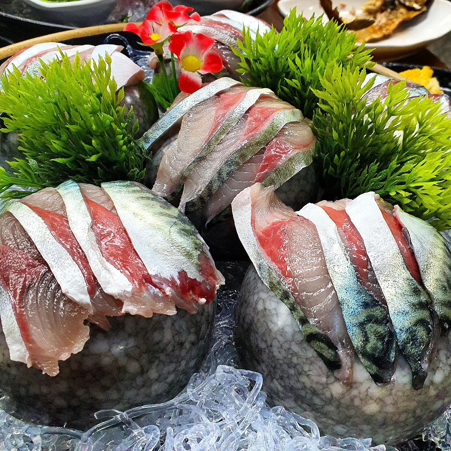 #돼지와물고기 #돼지네횟집 #신정네거리맛집 #양천구맛집 

🐟🐟
신정네거리역에서 발굴한 회 맛집🍴
항상 사람이 많은 것만 보고 직접 먹어본 적은 없었는데 이번에 먹고 사람이 왜 많은지 알게 됐다😯

고등어회 한판 주문해서 먹었는데, 너무 부드럽고 적당히 쫀득한데다가 깊은 맛이 나서 넘넘 맛있었음,,, 그래서 나중에 한판 더 시켜서 먹었다😋

사이드메뉴로 굴, 가리비, 소라숙회, 해삼내장, 타코와사비 등등 나오는데 전부 맛도리라서 좋았다☺️ 자주자주 갈듯

📍#돼지와물고기 #돼지네횟집 (돼지와물고기로 상호명 변경했으나 지도상 돼지네횟집으로 나옴)
신정네거리역에서 약 1-2분 거리, 파리바게트 뒷편
📍고등어회 가격 추후 기재

#서울횟집 #고등어회 #고등어회맛집 #맛스타그램 #먹스타그램 #맛집스타그램 #맛집추천 #foodstagram #sashimi #좋반 #좋아요그램 #좋반해요 #좋아요반사