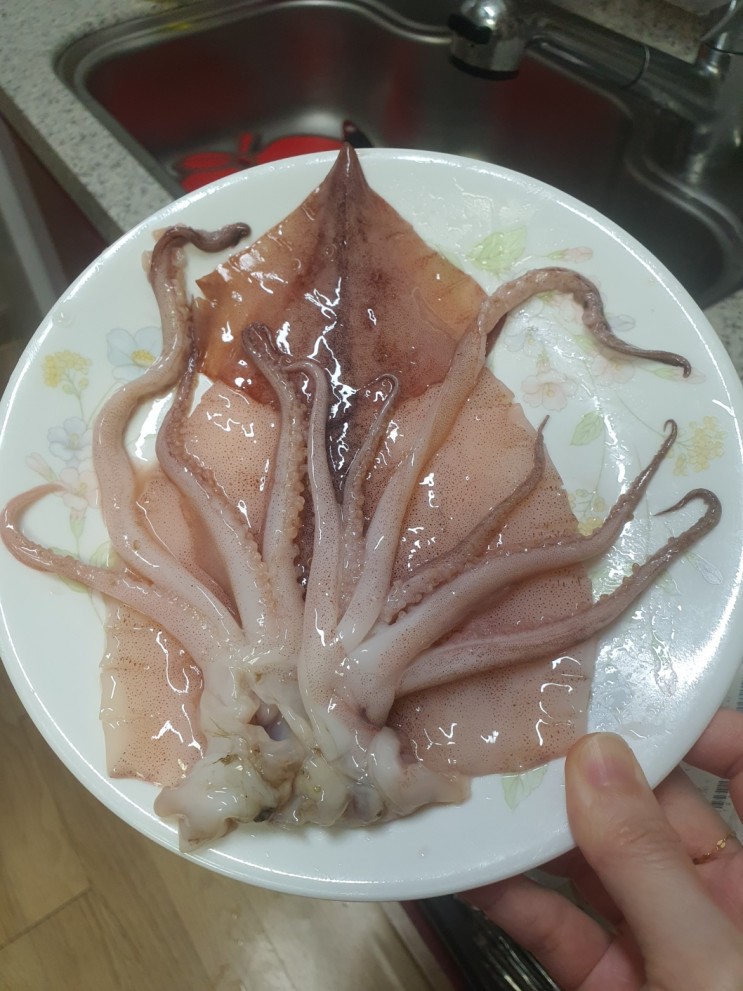 해담수산 손질오징어, 생물오징어 싱싱하고 맛있는 목포해산물로 오징어요리 만들어봐요♥