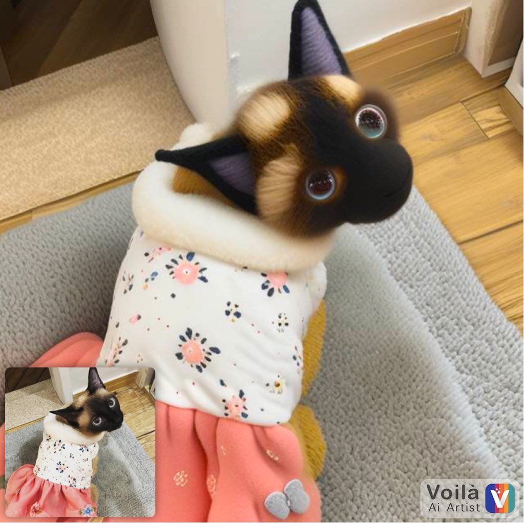 늦었지만 새해복❤️
요즘 유행하는 #voilà 인형질감으로 변하는데 고장이… ㅋㅋ 😂😂 고양이가 왜 라마로 변하는거죠? #고양이인형🐱 #나나 #구리