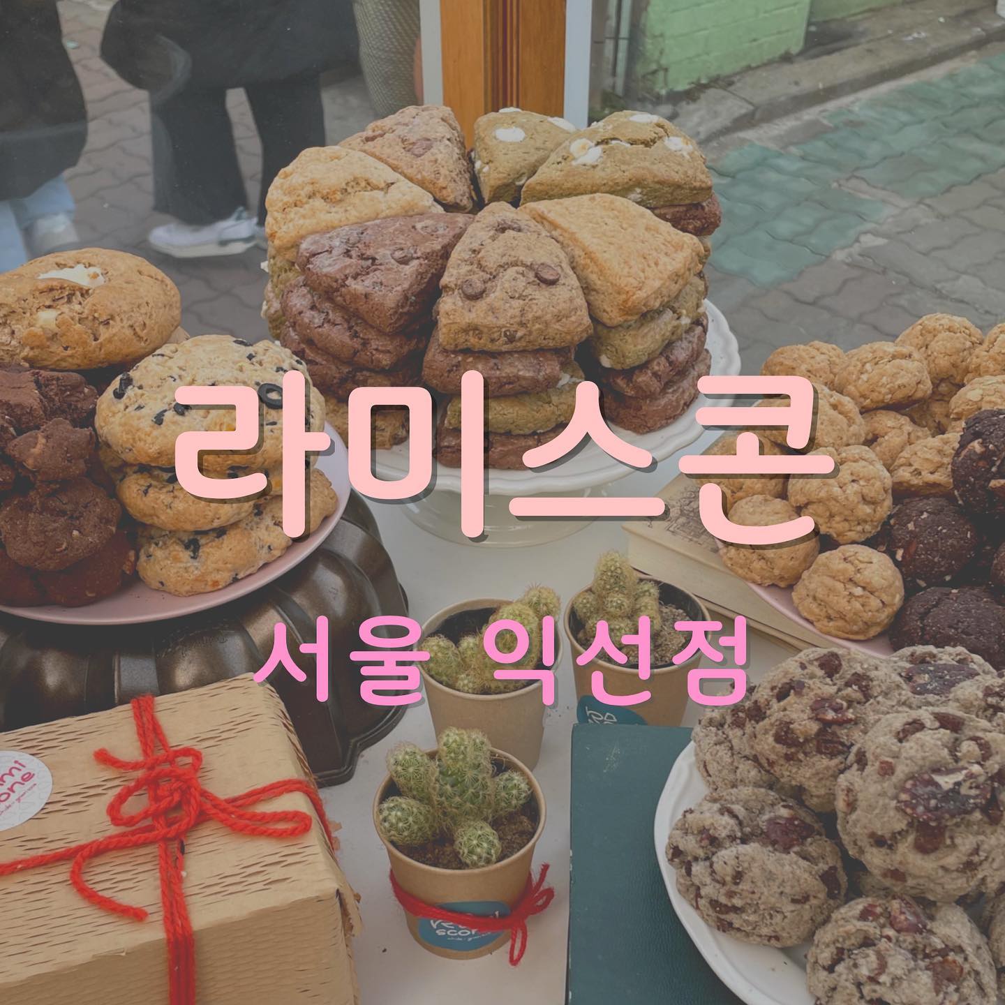 좋은 재료로 먹으면 살 덜 쪄
⠀
종로 3가역 익선동에 있는 따뜻한 정원같은 느낌의 온실 베이커리 카페, 이 곳을 왜 지금 알았을까?
⠀
🍪 홀그레인 & 비정제 당재료만을 사용
🍪정제된 탄수화물이 없어 먹기 편하고 속편한 스콘과 쿠키
🍪라미스콘만의 라미블렌드
⠀
🍯 허니스콘
라미스콘의 베스트 아이템! 허니라고 해서 단순한 맛일 줄 알았더니, 가운데 있는 하얀색은 뭘까요? 확실하진 않지만 우리가 추측하건데 리코타치즈!!!! 쫄깃한 떡같기도 하고 부드러운 치즈같은 하얀색이 달콤하며 고소한 허니 스콘과 매우 잘 어울렸어요. 먹으면서 이게 진짜 홀그레인가,, 중독되지 않는 탄수화물 맞나,,
🍯 월넛초코칩스콘
이것도 베스트 아이템!! 호두와 초코칩이 가득 들어있고 월넛초코칩은 특히 통밀의 질감을 느낄 수 있어서 정말 좋았어요. 밀가루는 먹으면 잠깐만 배부르고 금새 허기지지만 이 스콘 하나면 한끼는 든든할 것 같은 맛이에요. 비건스콘이라해서 편견을 가진 제가 부끄러웠어요. 다이어트 중에 서울놀러가게 된다면 조금은 가벼운 선택지로, 또는 라미스콘 갈 날만을 기다려 치팅데이를 잡아야하는 그런 맛이에요. ❤️‍🔥
⠀
[카페 라미스콘 익선점]
⠀
⠀
⠀
⠀
⠀
⠀
#익선동카페 #익선동맛집 #라미스콘 #서울카페 #비건베이커리 #비건스콘 #다이어트스콘 #종로3가카페 #종로맛집 #veganscones #ramiscone #seoulcafe #seoultravel #food #foodstagram #먹팔 #먹팔환영 #먹팔소통
