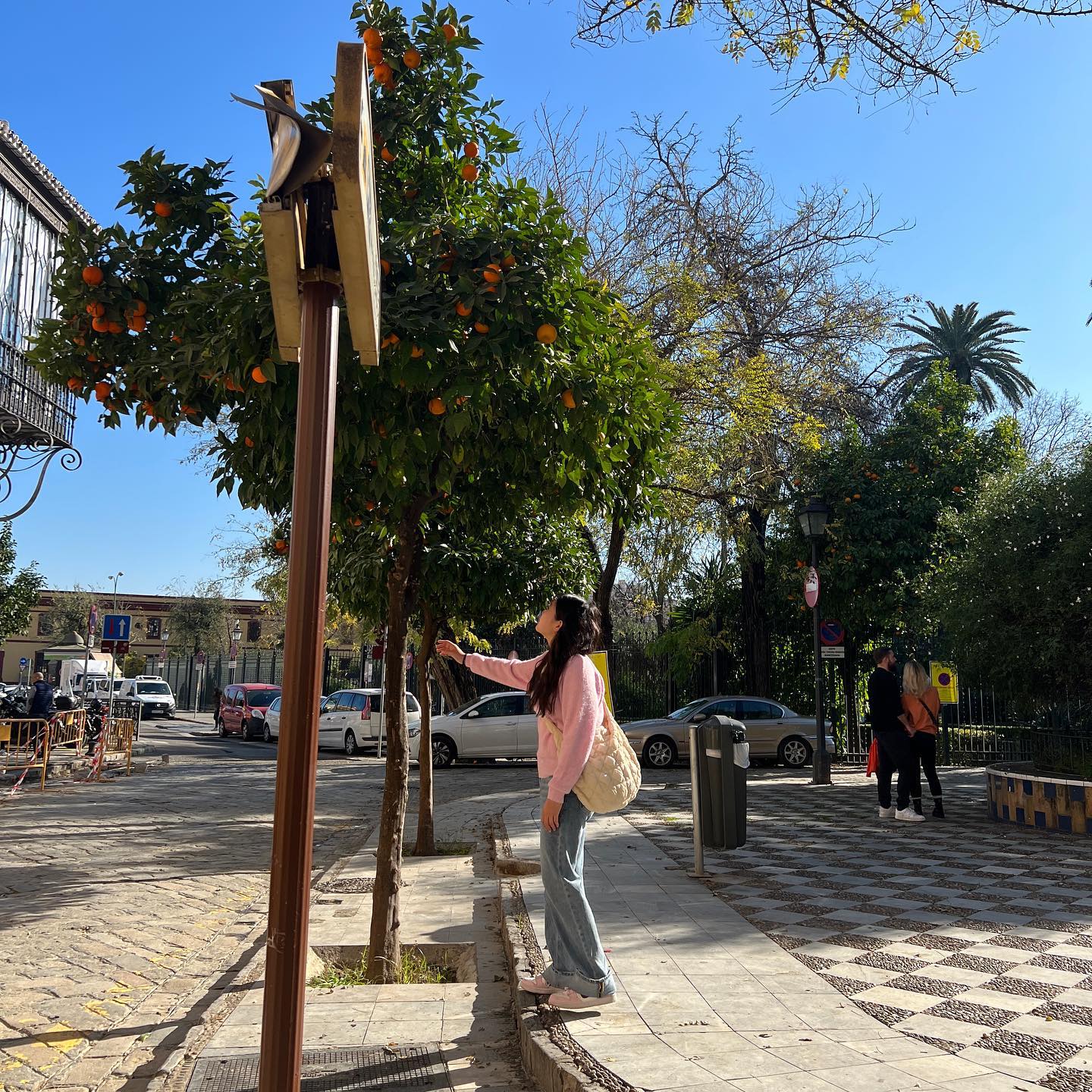 결국 못 따먹은 오렌지..
세비야 오렌지나무 그립다🥹🍊🧡