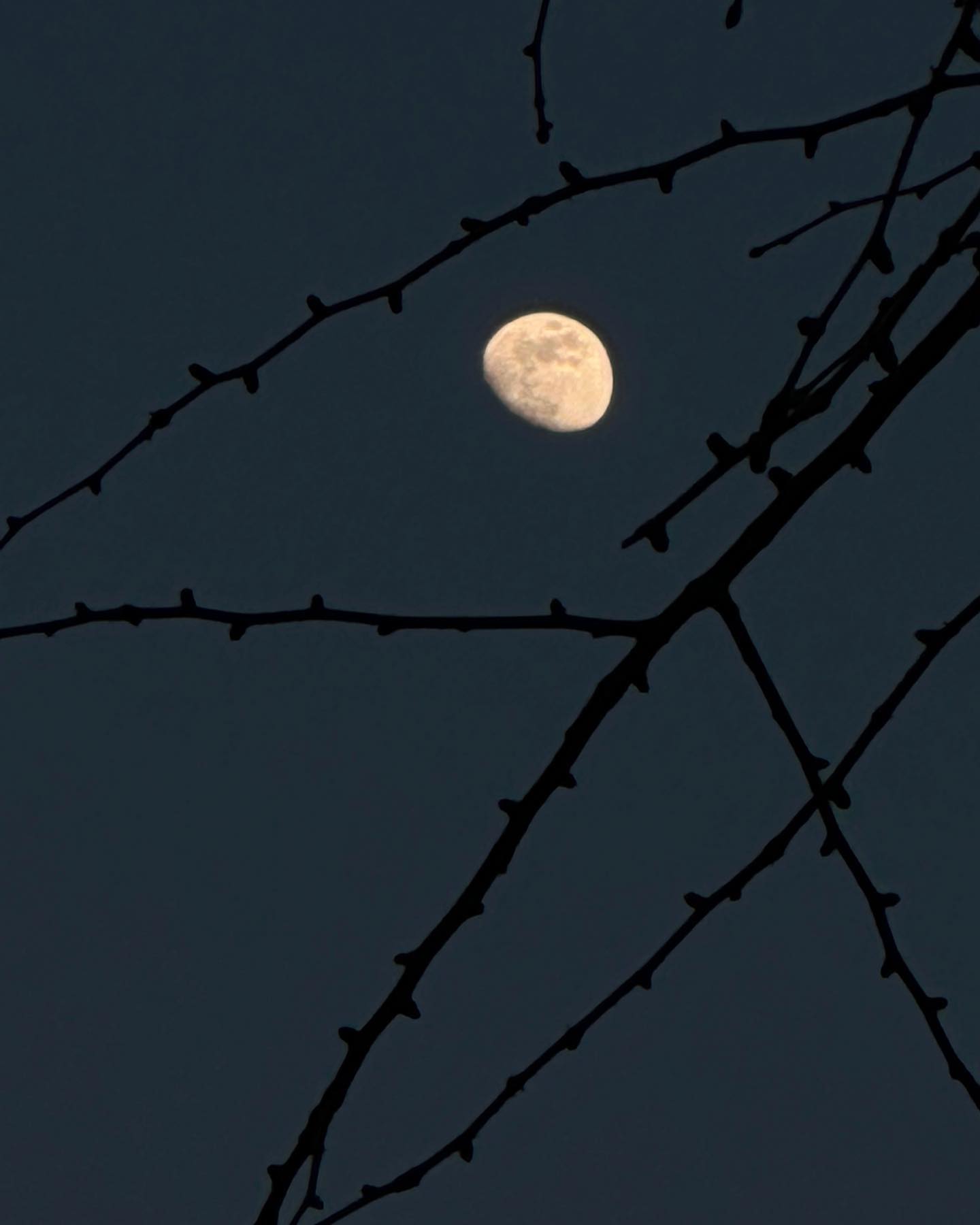 🌔