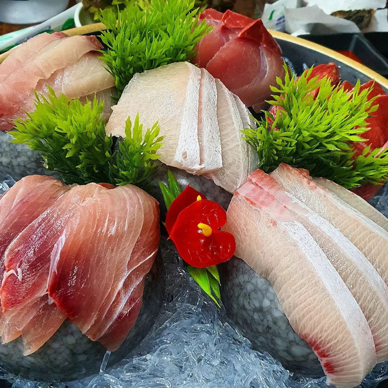 #돼지네횟집 #돼지와물고기 #서울횟집 
🐟🐟🐟🐟🐟

넘넘 맛있어서 또 간 횟집🐟
고등어회 먹으러 갔는데 품절돼서 방어회랑 우럭회 시켰다😋 2인 이상이었나?? 주문하니까 물회도 서비스로 나옴

#방어회 는 진짜,,,,,넘넘넘너넘 맛도리 ㅠㅠ 원래도 맛있는데 이 횟집은 진짜 대방어를 사용하고 한 점 한 점이 어엄청 커서 고소함이 남다름 너무 맛있었다 또 먹고 싶음

#우럭회 는 언니가 방어 알레르기 있어서 추가로 주문한 거!! 우럭회 오독오독하면서 고소함이 확 퍼지는 게 넘 맛있다,,, 회는 진짜 너무너무 맛있어~!!~~!!!!!!!

#물회 도 낫베드🤓 회 많이 시키니까 나온 서비스인데 시원하고 괜찮다 느끼하다 싶을때마다 한숟가락씩 퍼먹었는데 뇸뇸굿

📍#돼지네횟집 
신정네거리역에서 약 2분 거리

#회 #사시미 #sashimi #대방어 #대방어맛집 #방어회맛집 #신정네거리술집 #신정네거리횟집 #맛집탐방 #맛집추천 #맛집스타그램 #맛스타그램 #먹스타그램 #foodstagram #좋반 #좋아요그램 #좋반해요 #좋아요반사