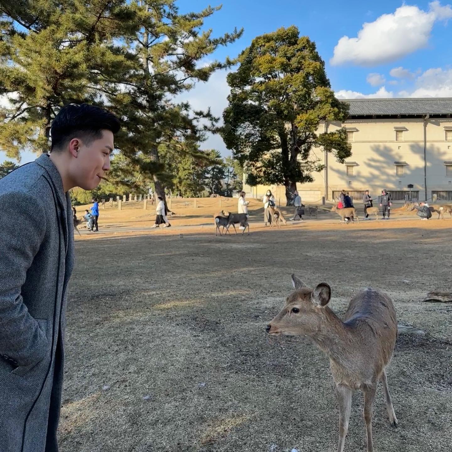 찍을땐 왜 저러나 했는데 내 최애사진 🦌