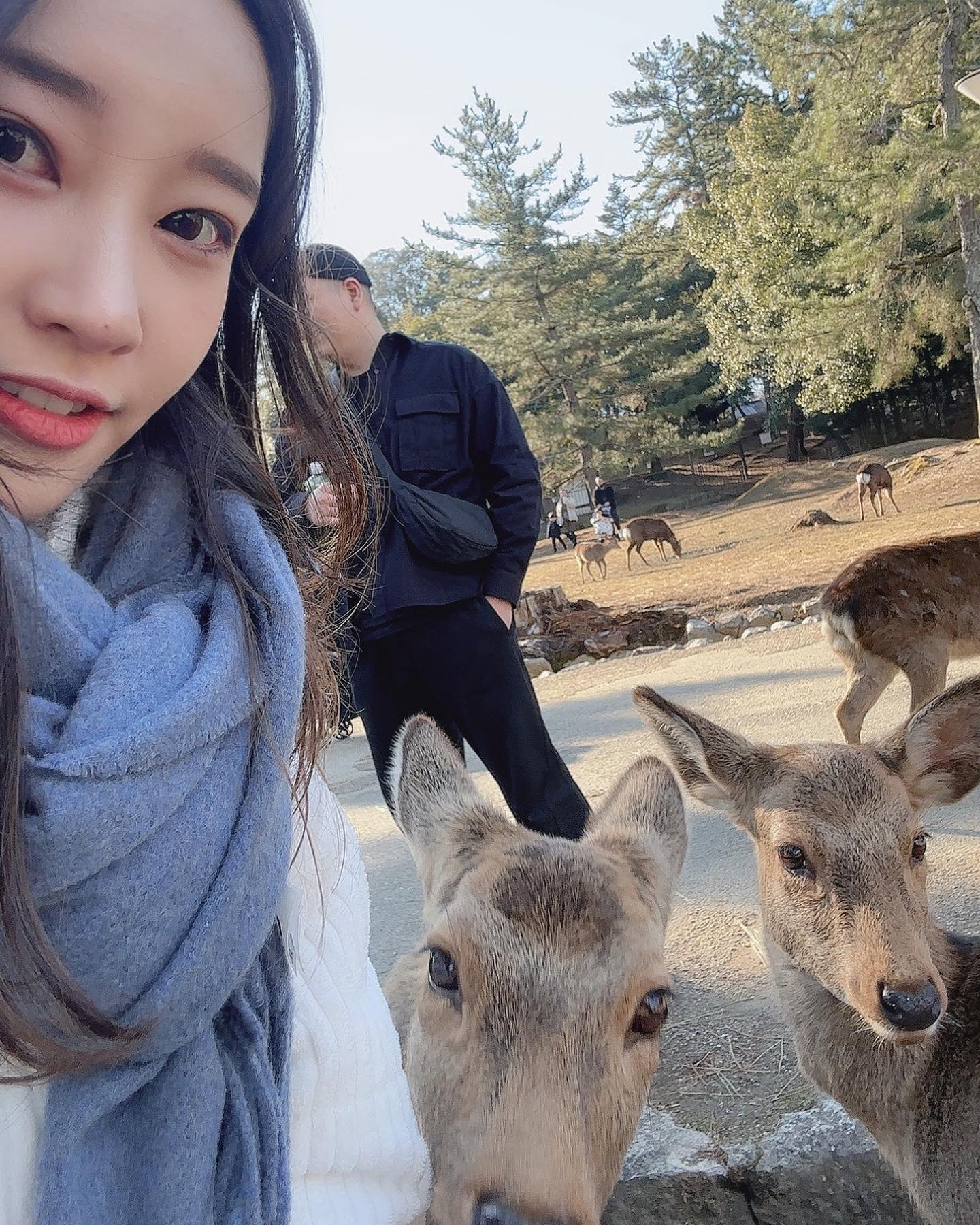 첨가본 사슴공원 🦌
아가들은 귀엽고 뿔달린애들은 무서웅곳
#사슴공원