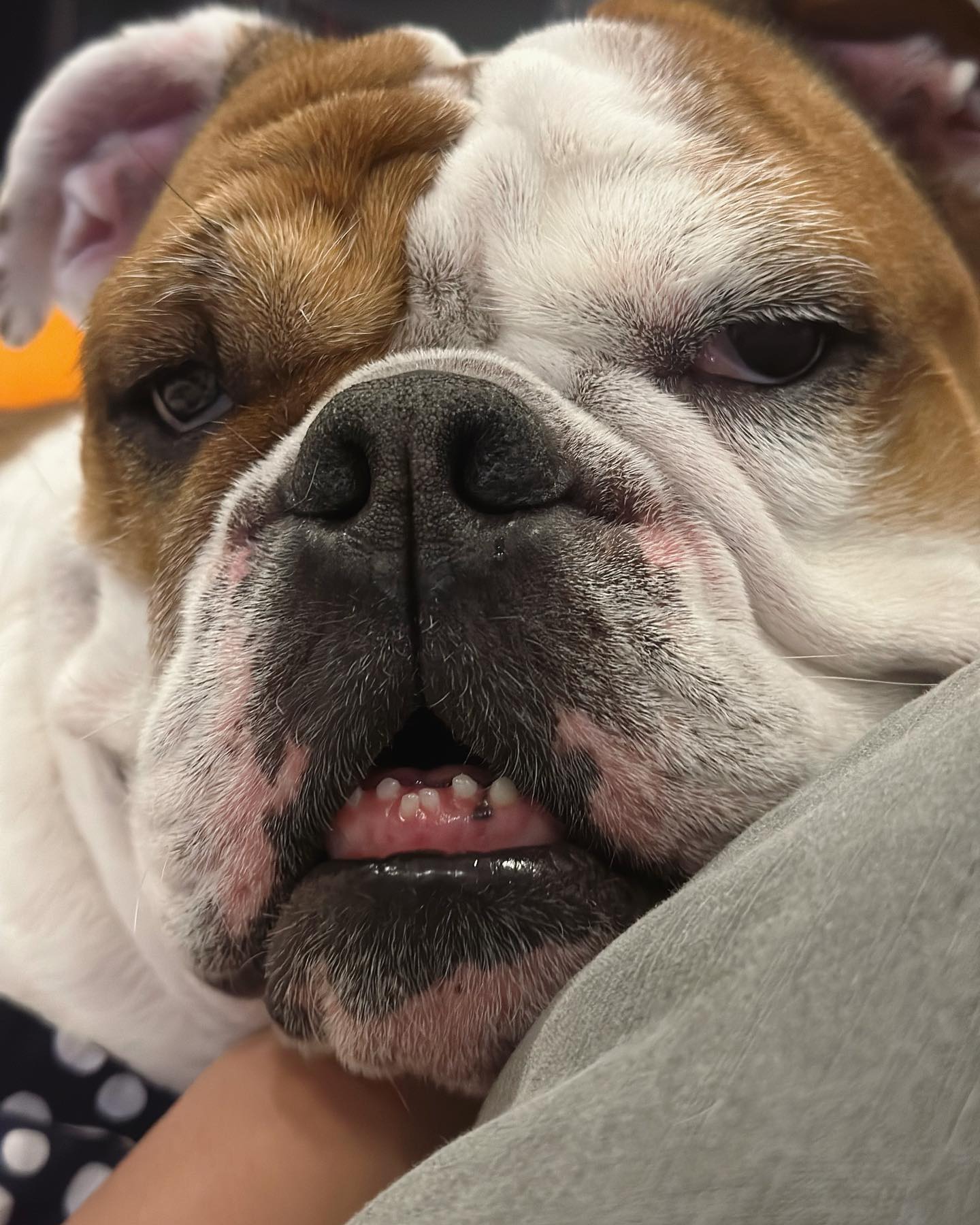 피곤타 건들지마라😴